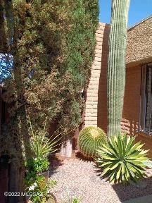 Pantano Park (1-77,78,79) - Residential