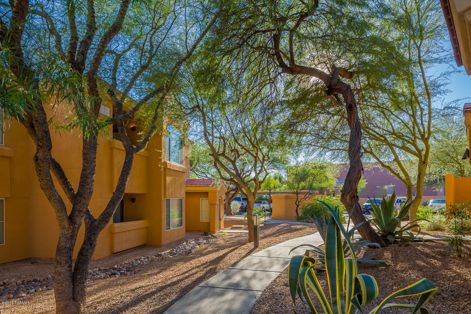 Pinnacle Canyon Condominium - Residential