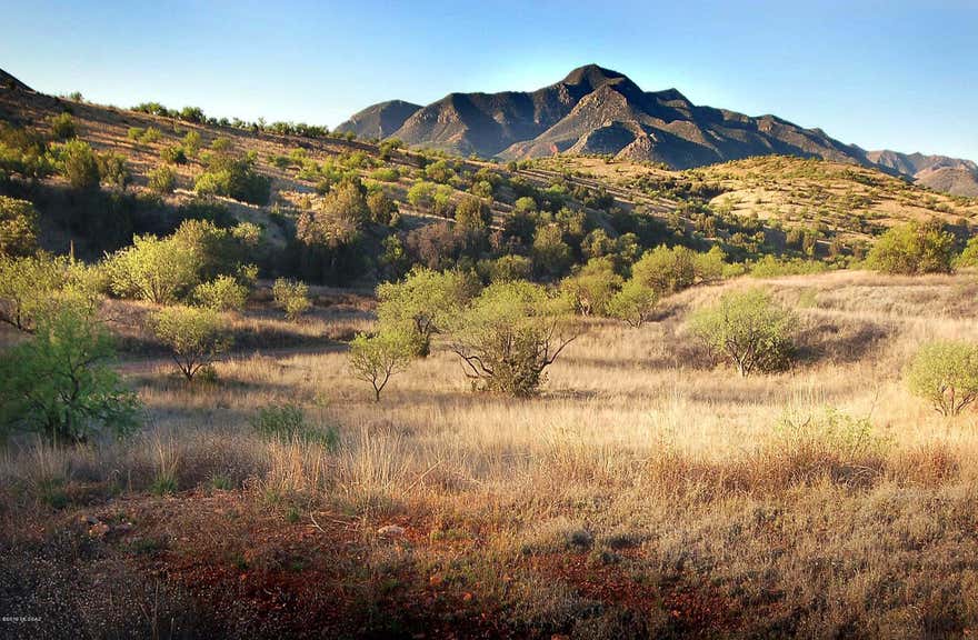 Incomparable views of the Santa Rita, Patagonia & Canelo Hills provide the visual reference & set the tone for this very SPECIAL estate. A natural draw along the SE boundary draws a dazzling array of wildlife.Birds, incl. several species of Hawks, Owls, Quail & hundreds of smaller species, abound in this very famous migratory path. A great variety of plant life from native grasses to large Oak & Juniper completes this natural setting. Relive the NIGHT MAGIC viewing the stars (even the Milky Way) in this star-filled DARK SKY community. Moderate temperatures & sunny days allow for year round fishing, boating, wine tasting, horseback riding, hiking & birding are available to you in this extraordinary Mountain Empire of Arizona. Only 1.15 hours to Tucson and airport & Tubac is only 40 min.
