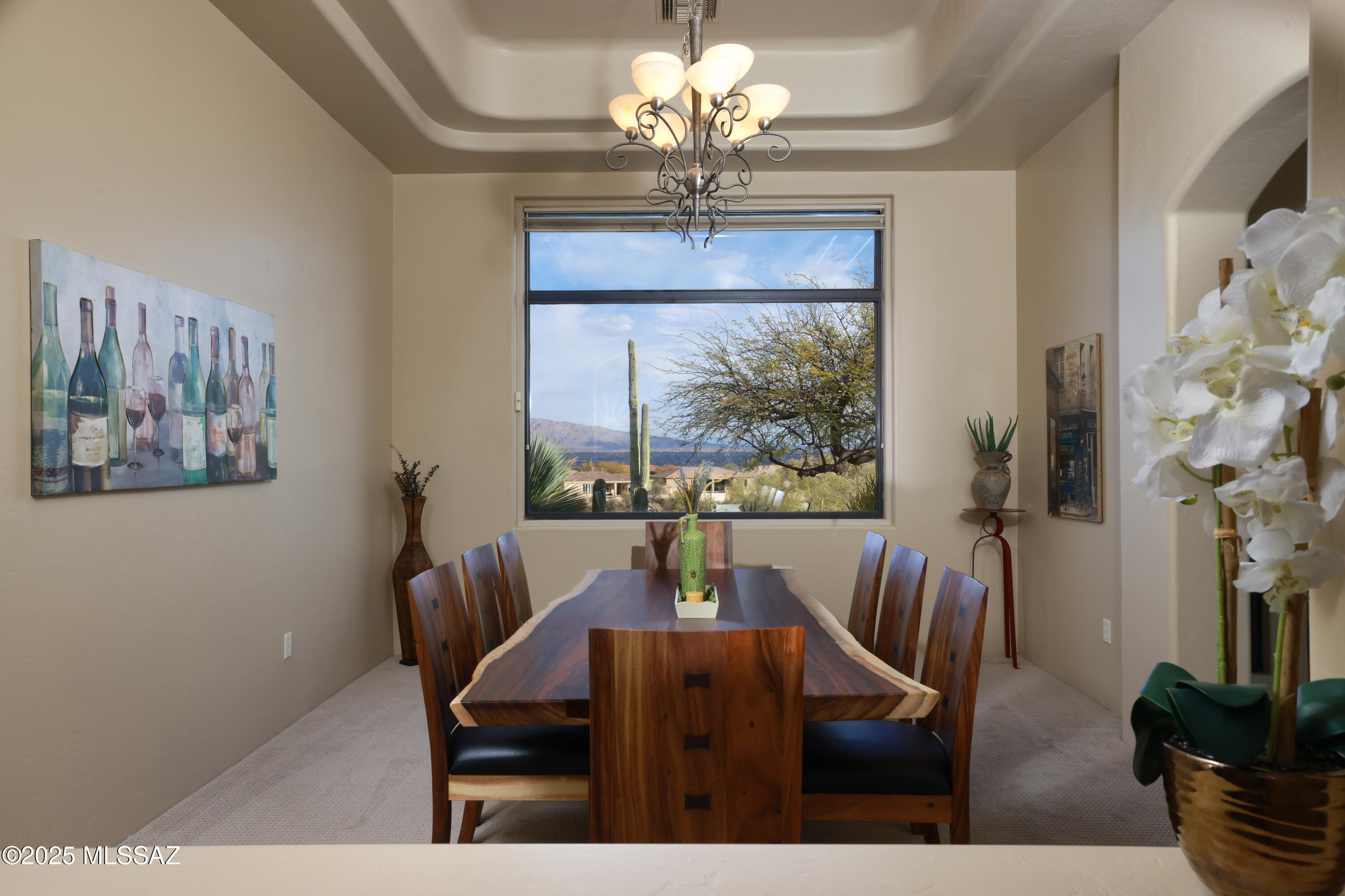 Sabino Mountain (1-290) - Residential