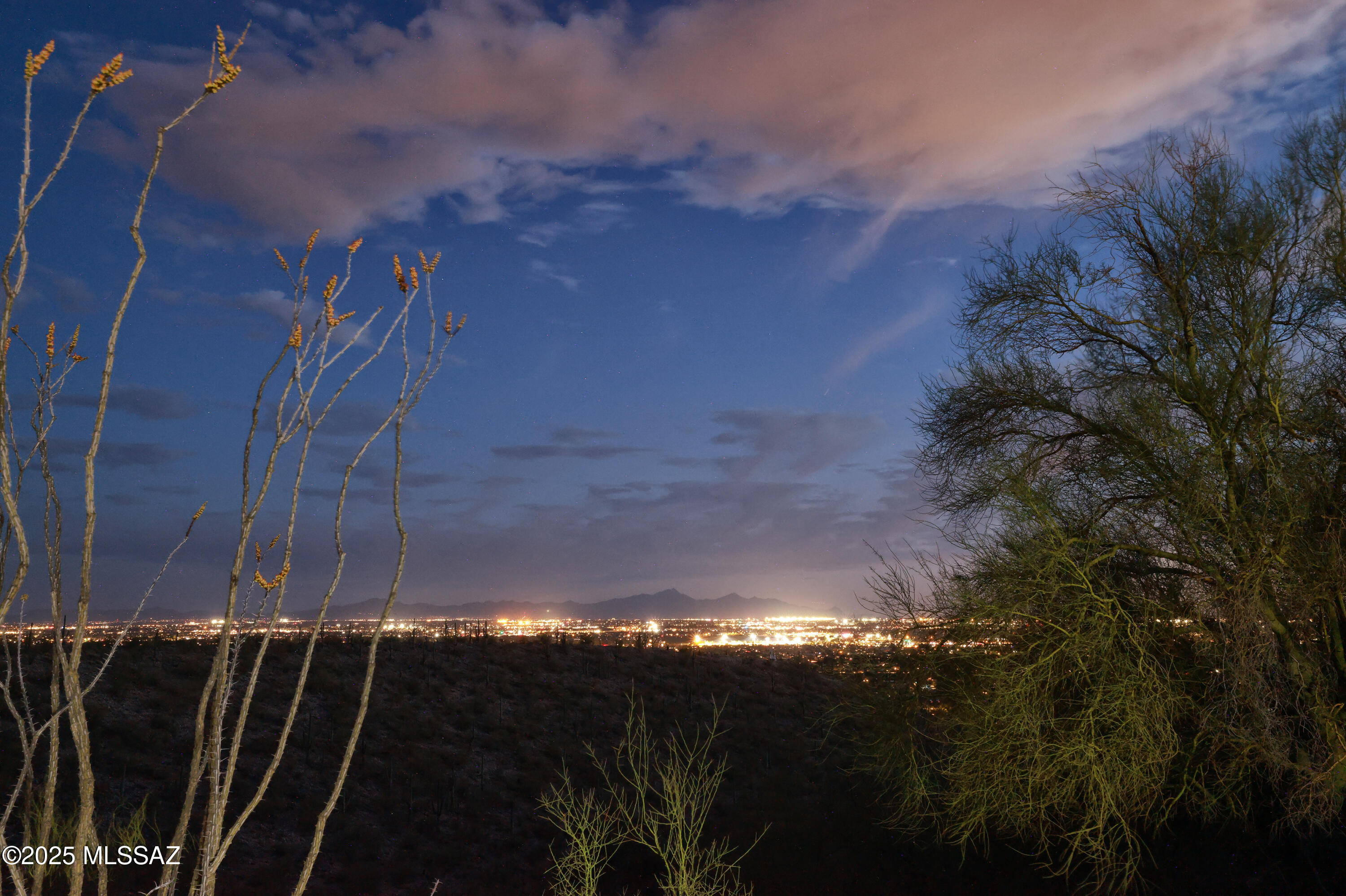 Sabino Mountain (1-290) - Residential