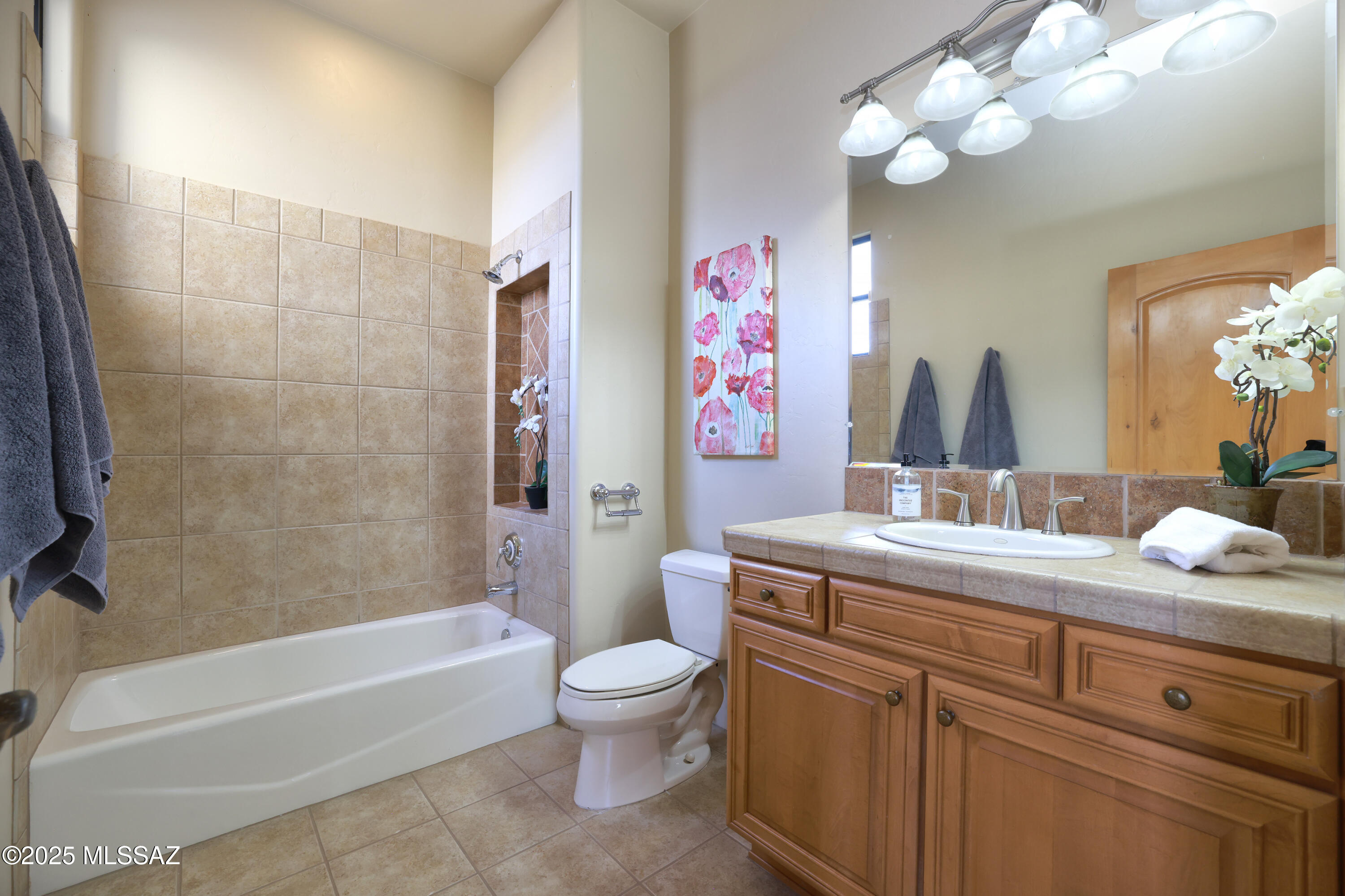 Sabino Mountain (1-290) - Residential