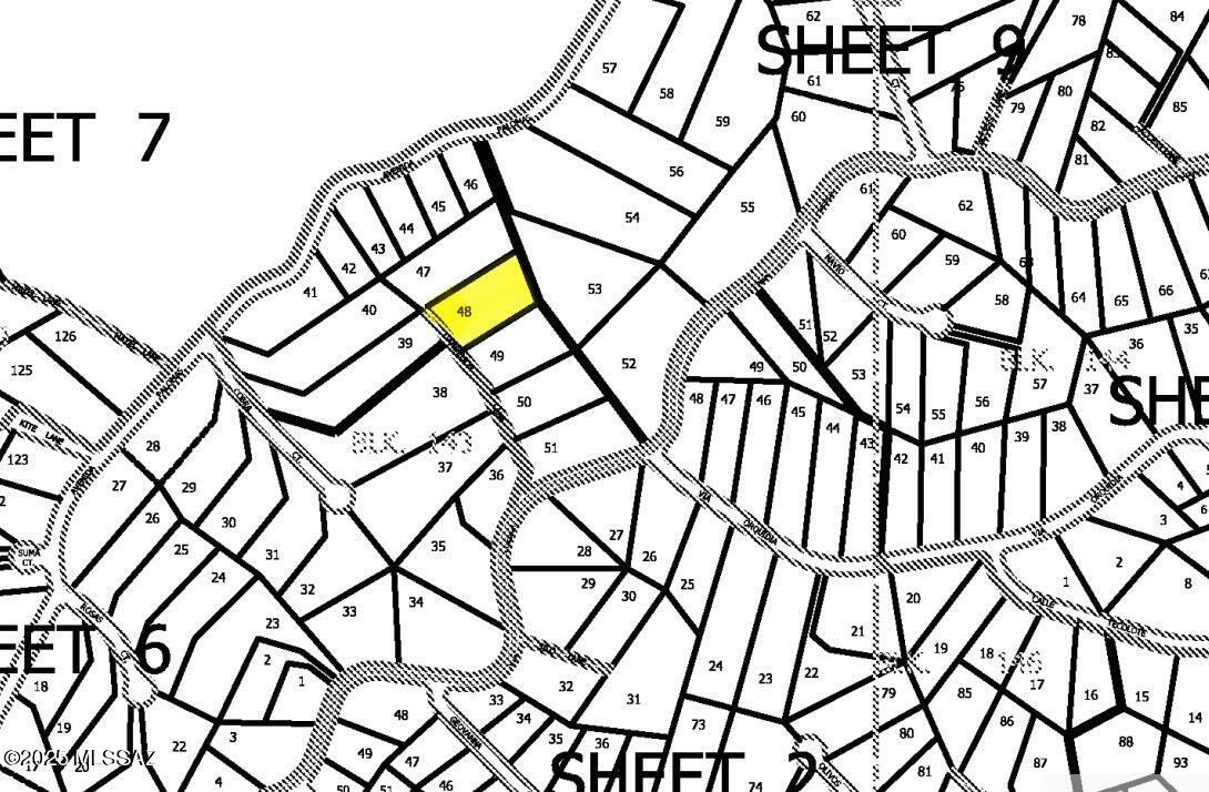 981 Dandelion Lane 48