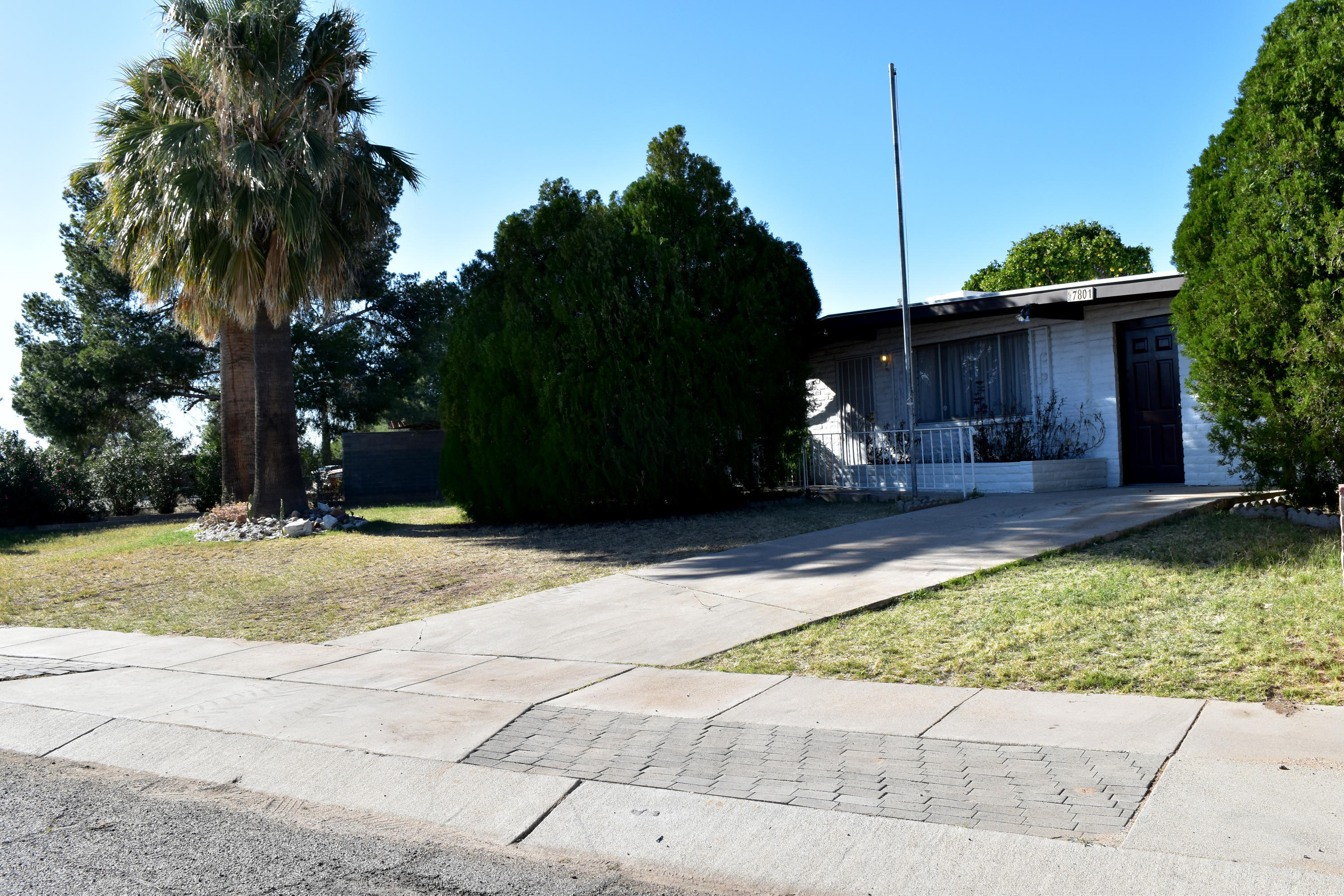Pine Grove (1-101) - Residential
