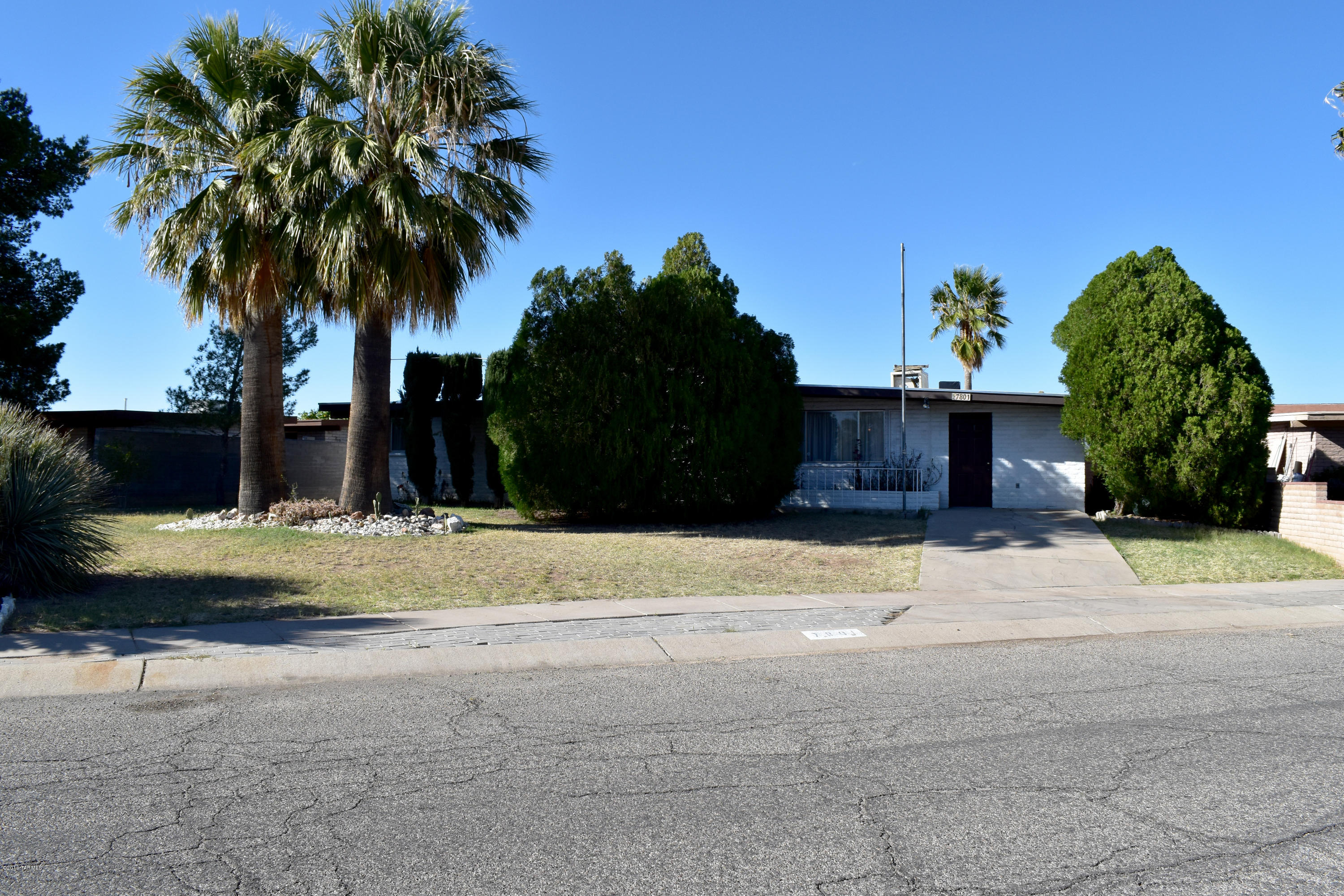 Pine Grove (1-101) - Residential