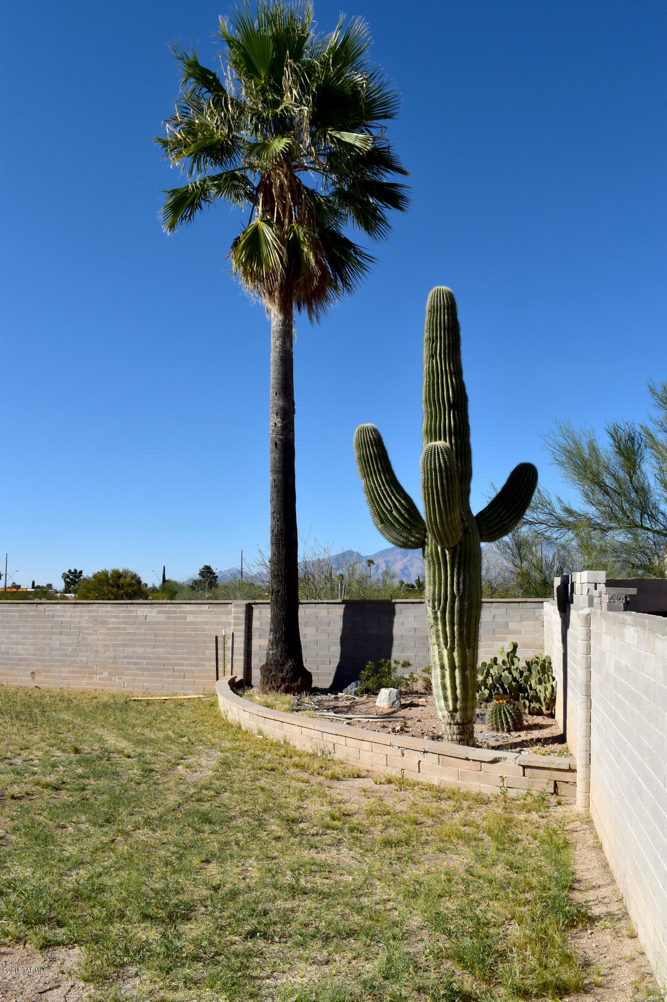 Pine Grove (1-101) - Residential