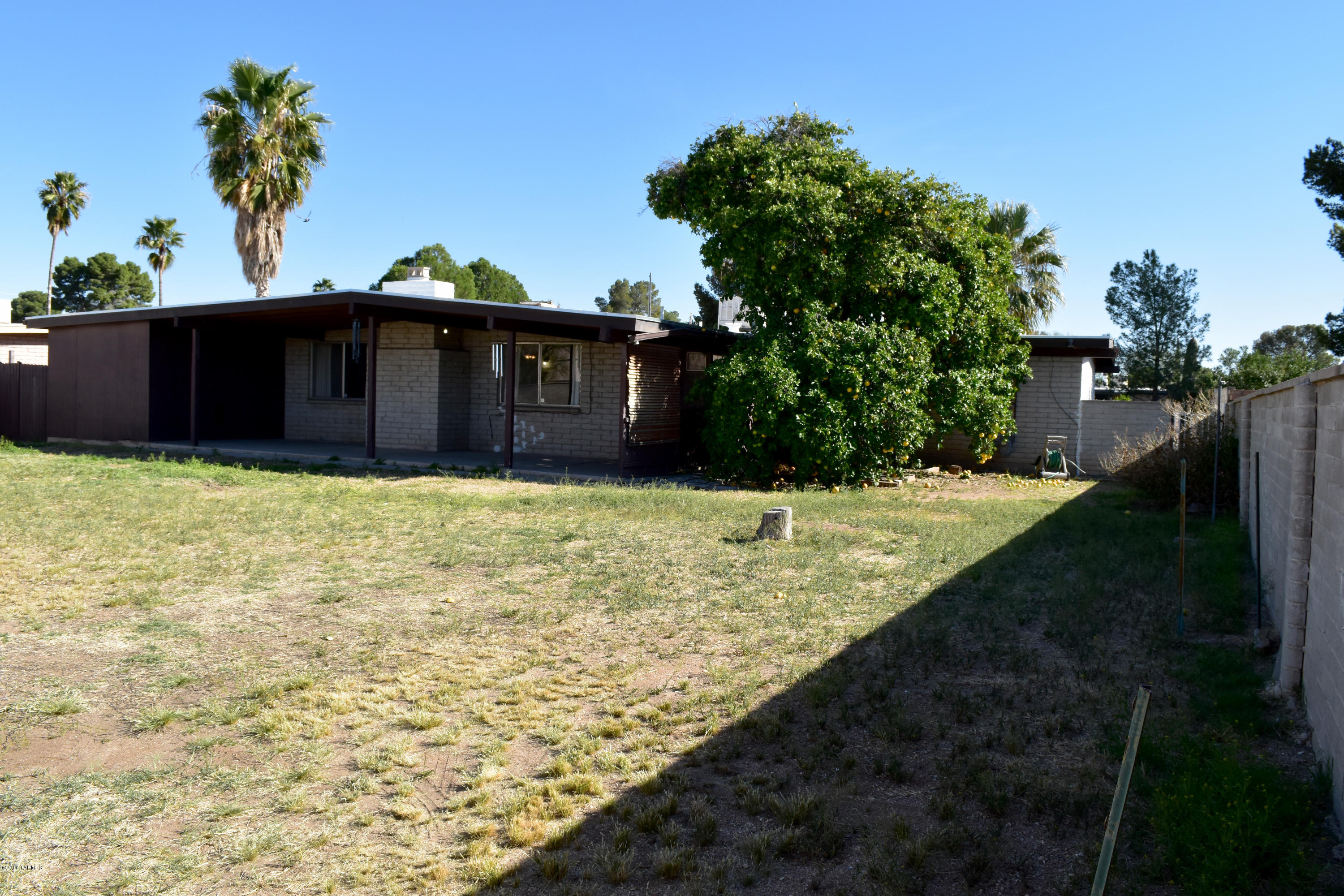 Pine Grove (1-101) - Residential