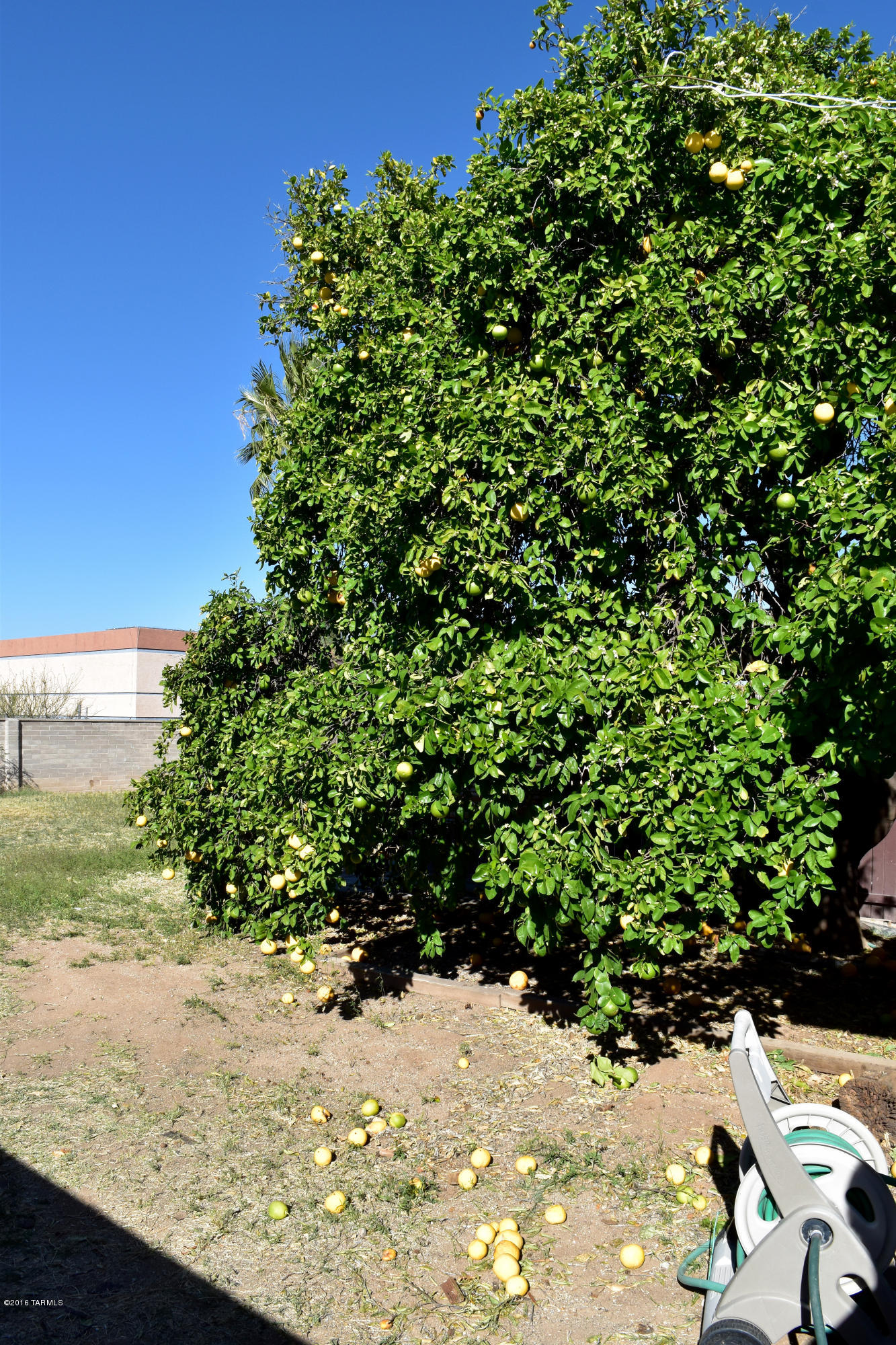 Pine Grove (1-101) - Residential