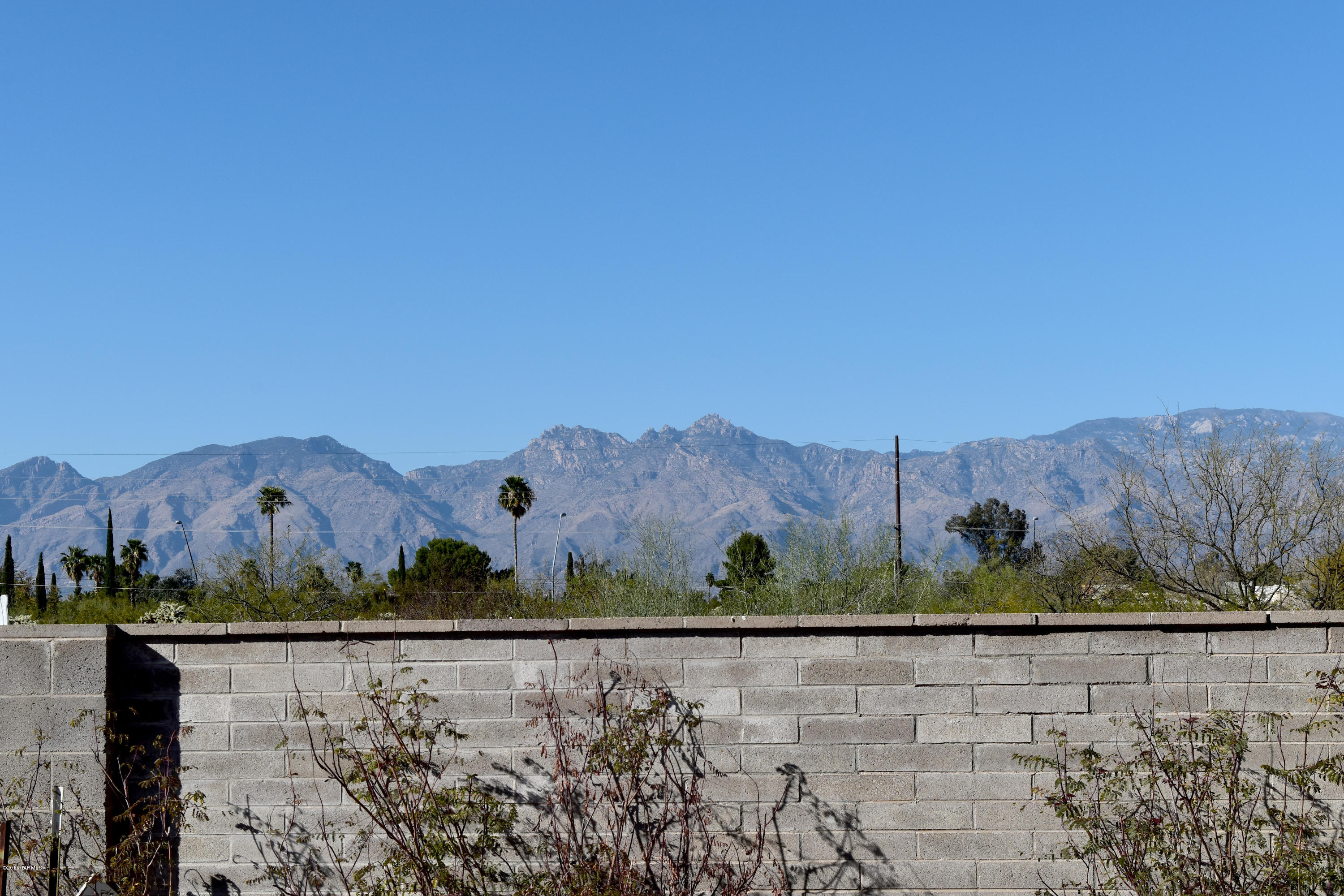 Pine Grove (1-101) - Residential