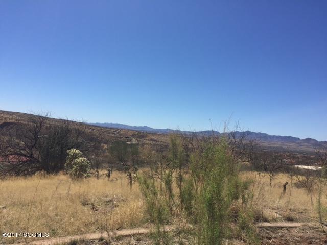 Rio Rico Villas 12 - Land