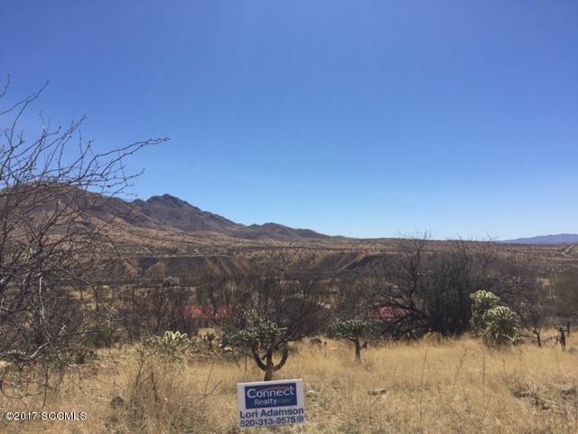 Rio Rico Villas 12 - Land