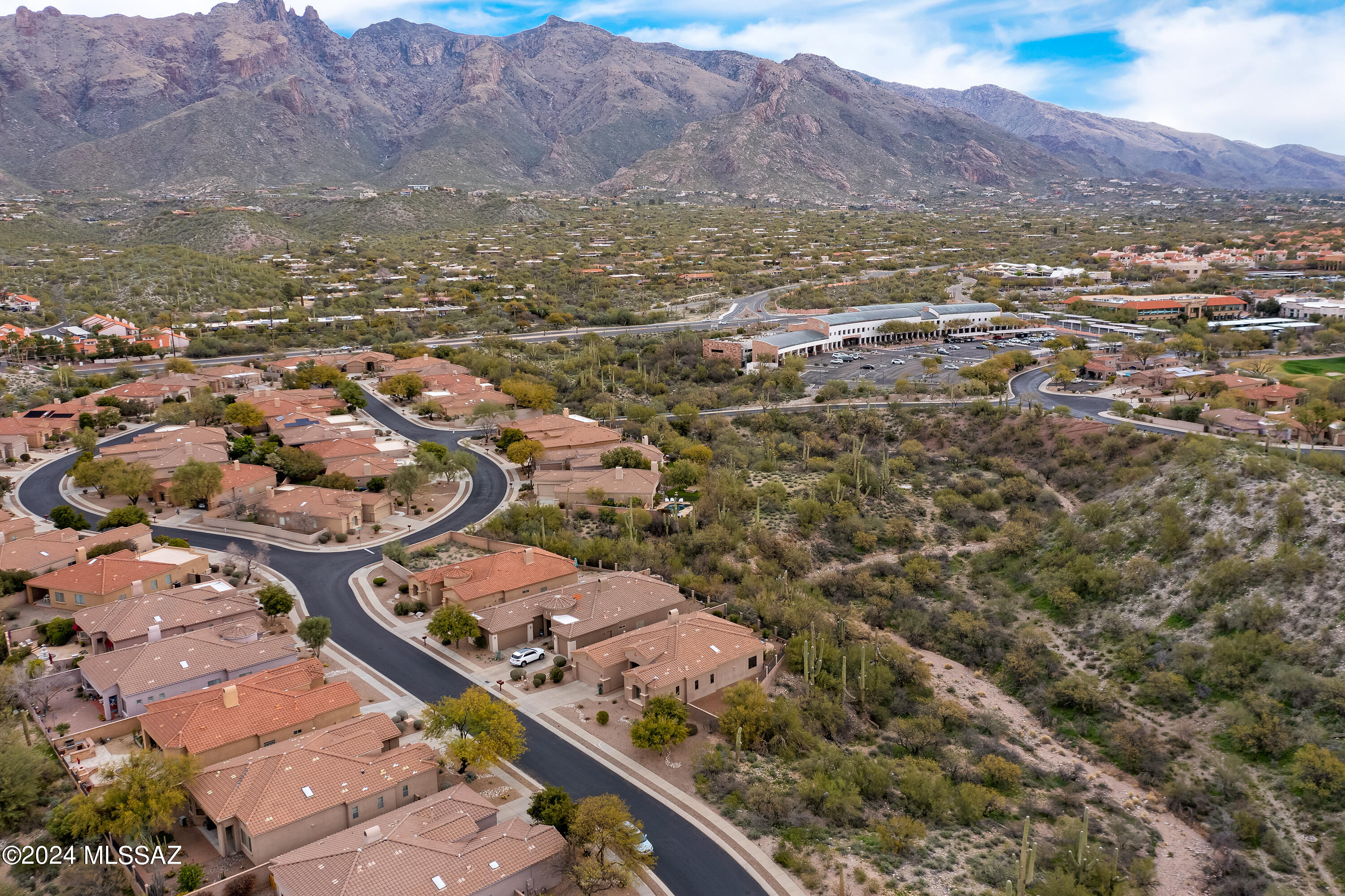 Village 1 At the Villages of La Paloma - Residential
