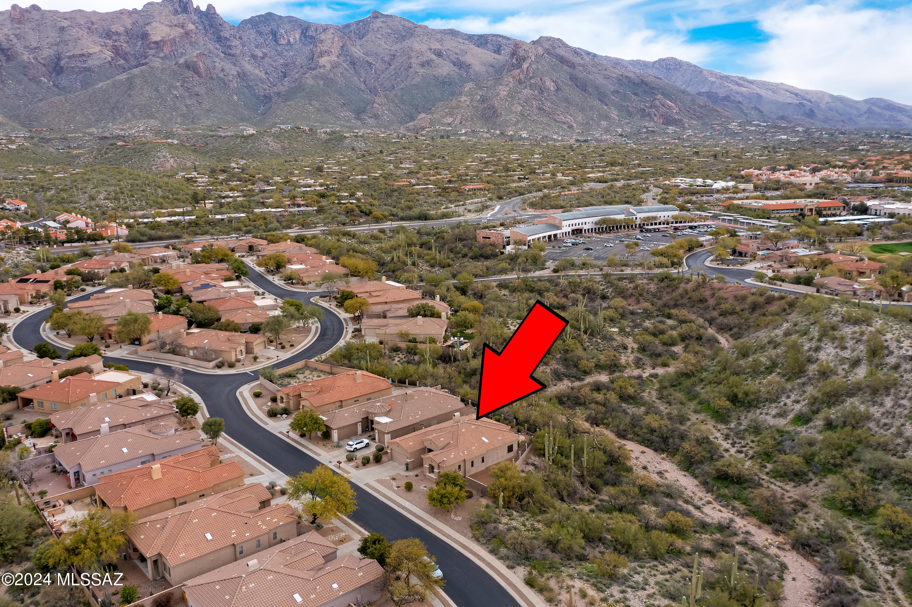 Village 1 At the Villages of La Paloma - Residential