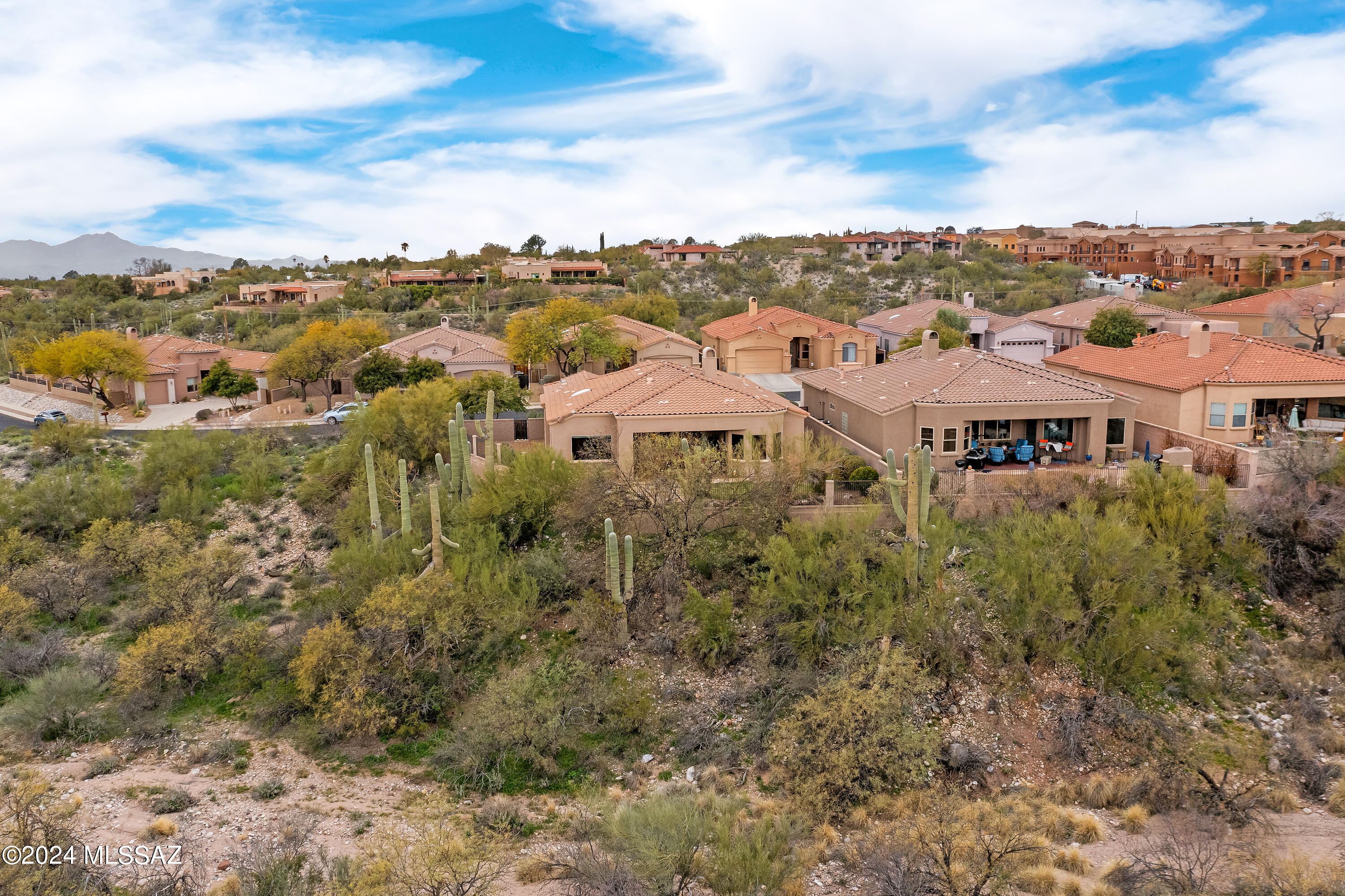 Village 1 At the Villages of La Paloma - Residential