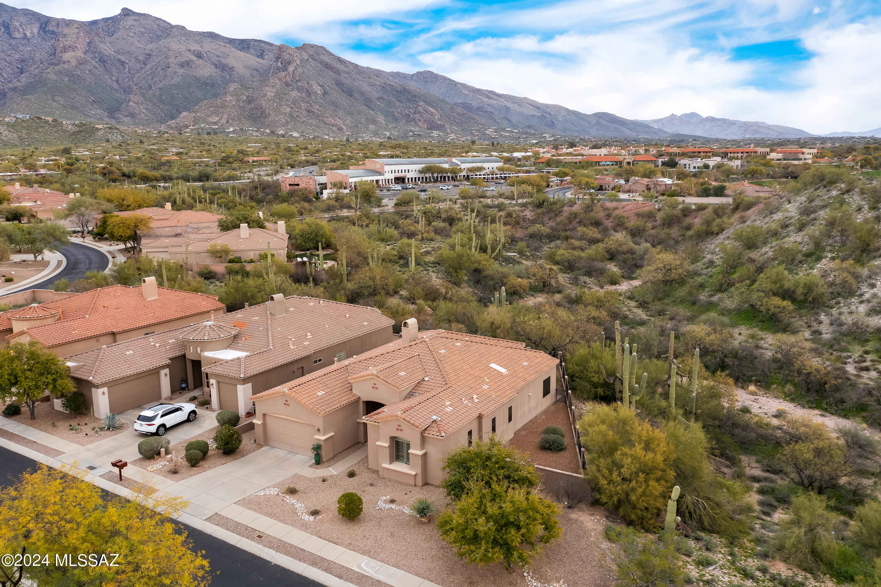 Village 1 At the Villages of La Paloma - Residential