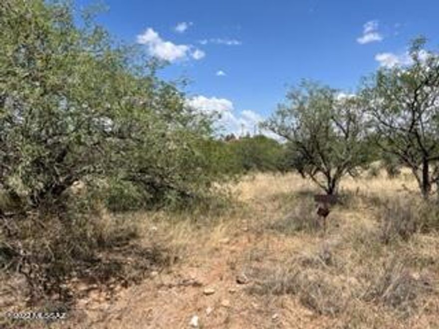 Nice buildable lot can build or put a manufactured home. There are three parcels available all adjacent to each other. Parcels 306-20-0110 (16345 S Whetstone Ave), 306-20-0100 (16325 S Whetstone Ave) and 306-20-0090 (16305 S Whetstone Ave). You can buy any one for $20,000 or all three for $54,000 all three lots are 3.157 acres. All on a paved road, with electric available. This is a rare opportunity were the seller will carry, with a reasonable down and terms.