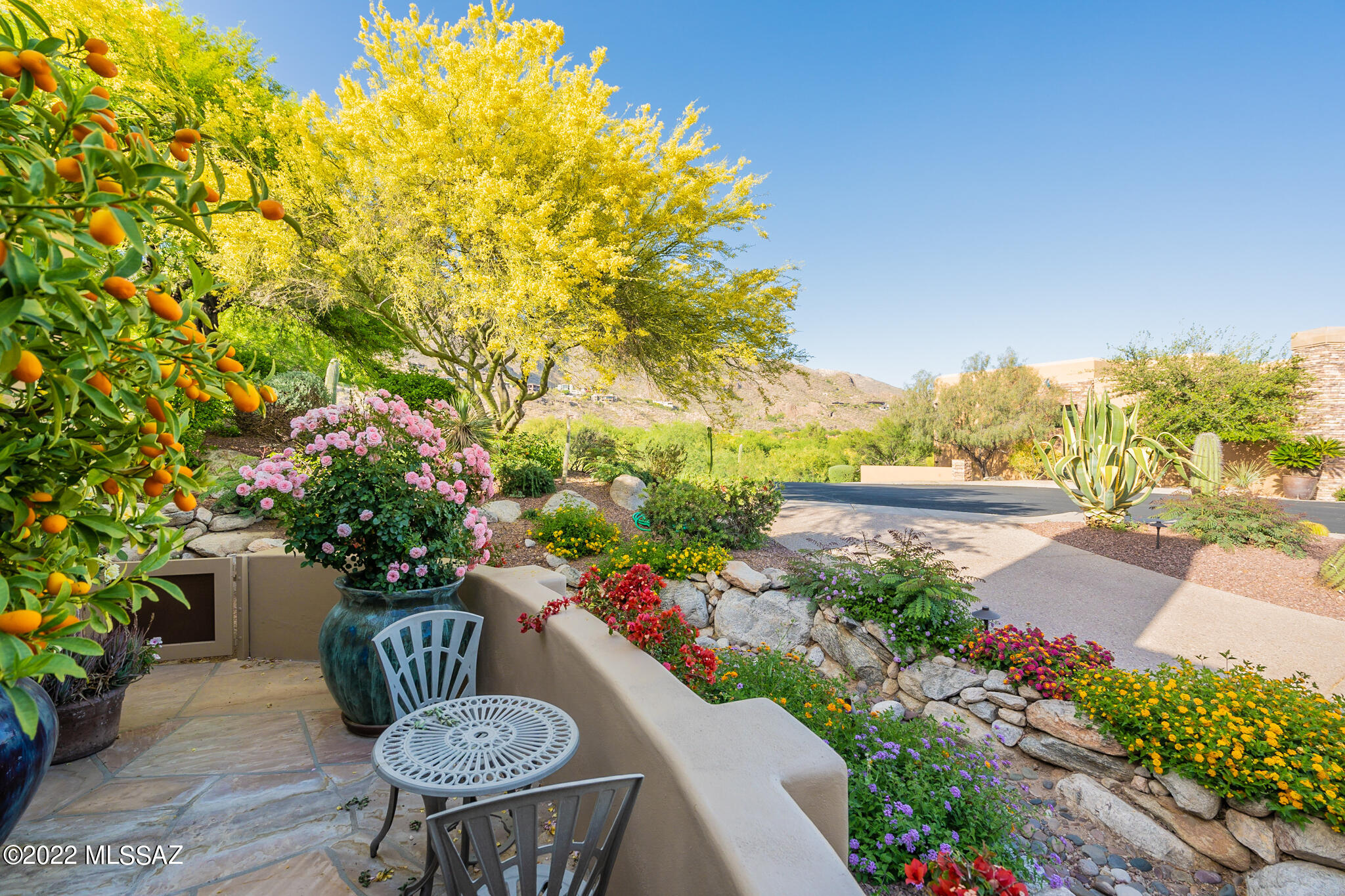 Whaleback Ridge Estates at Ventana Canyon (1-30) - Residential