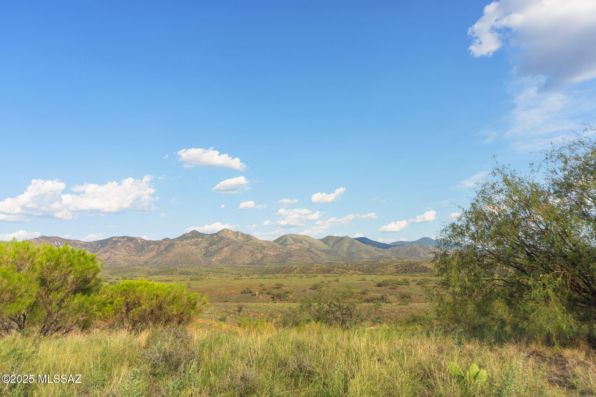 Lake Patagonia Ranch - Land
