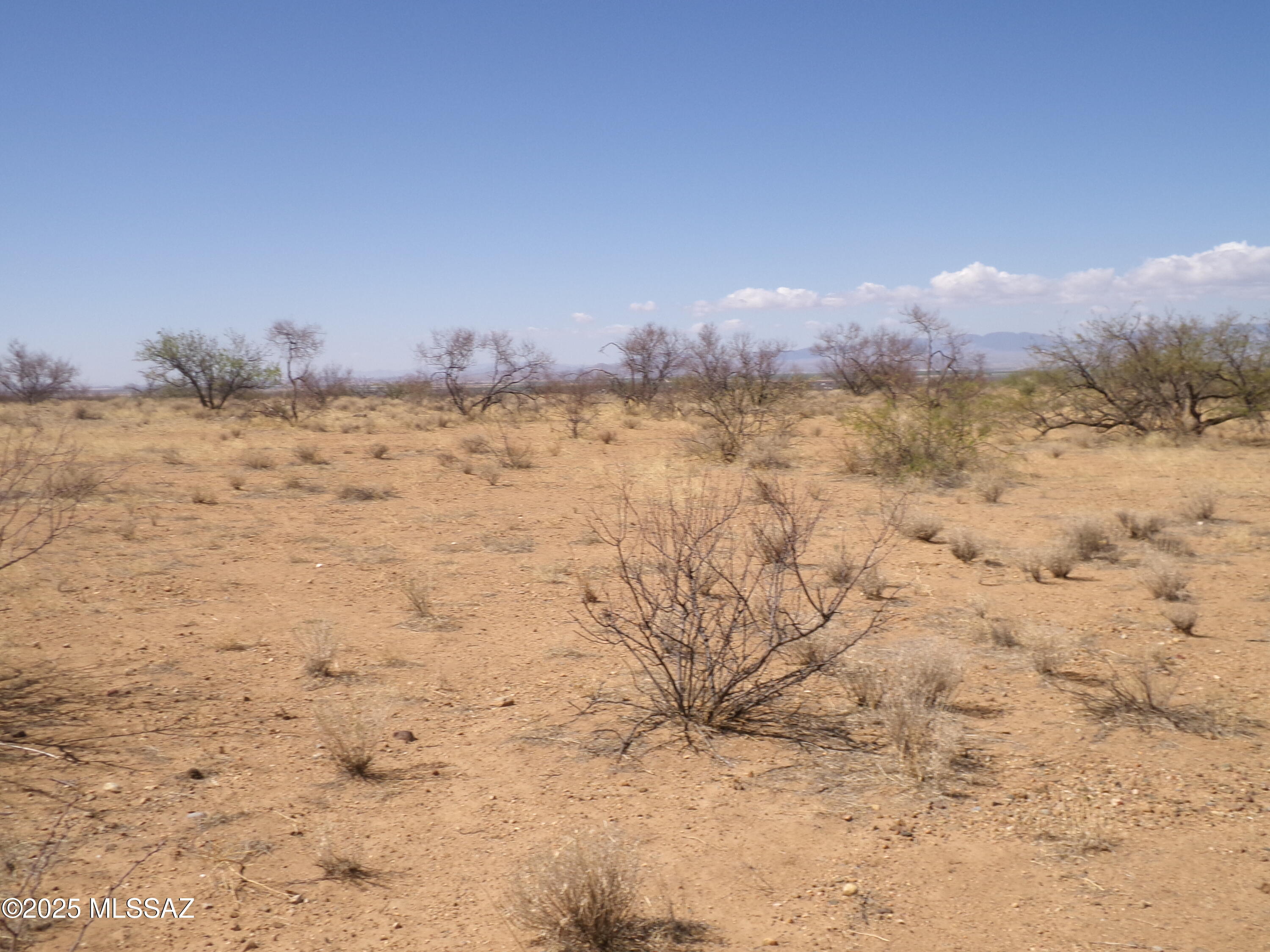 Chiracahua Trail Ranches - Land
