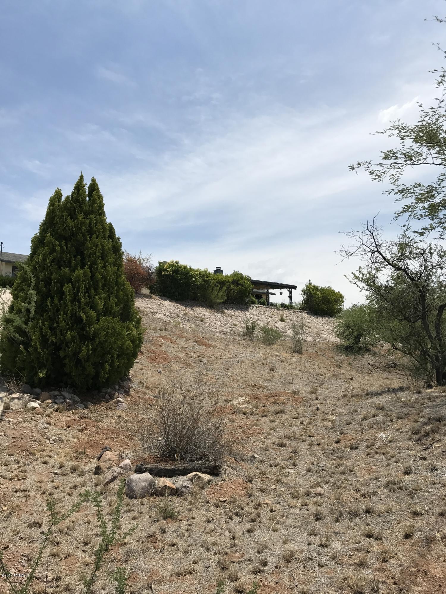 Rio Rico Ranchettes - Residential