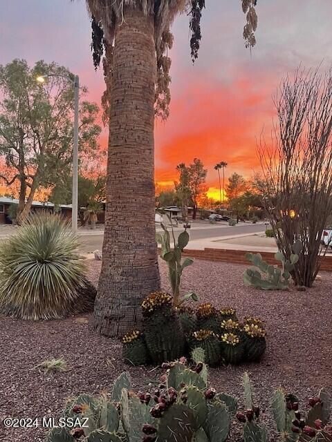 A home in Tucson