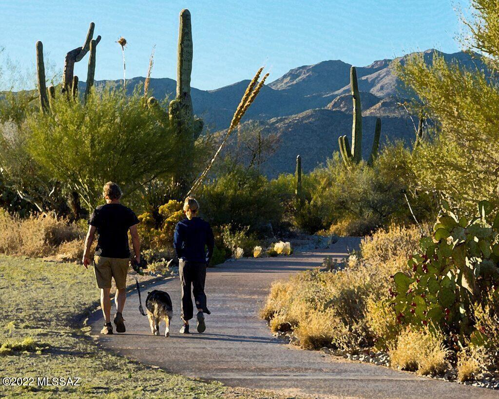 Rancho Vistoso Parcel 10-J Resub SQ20180960001 - Residential