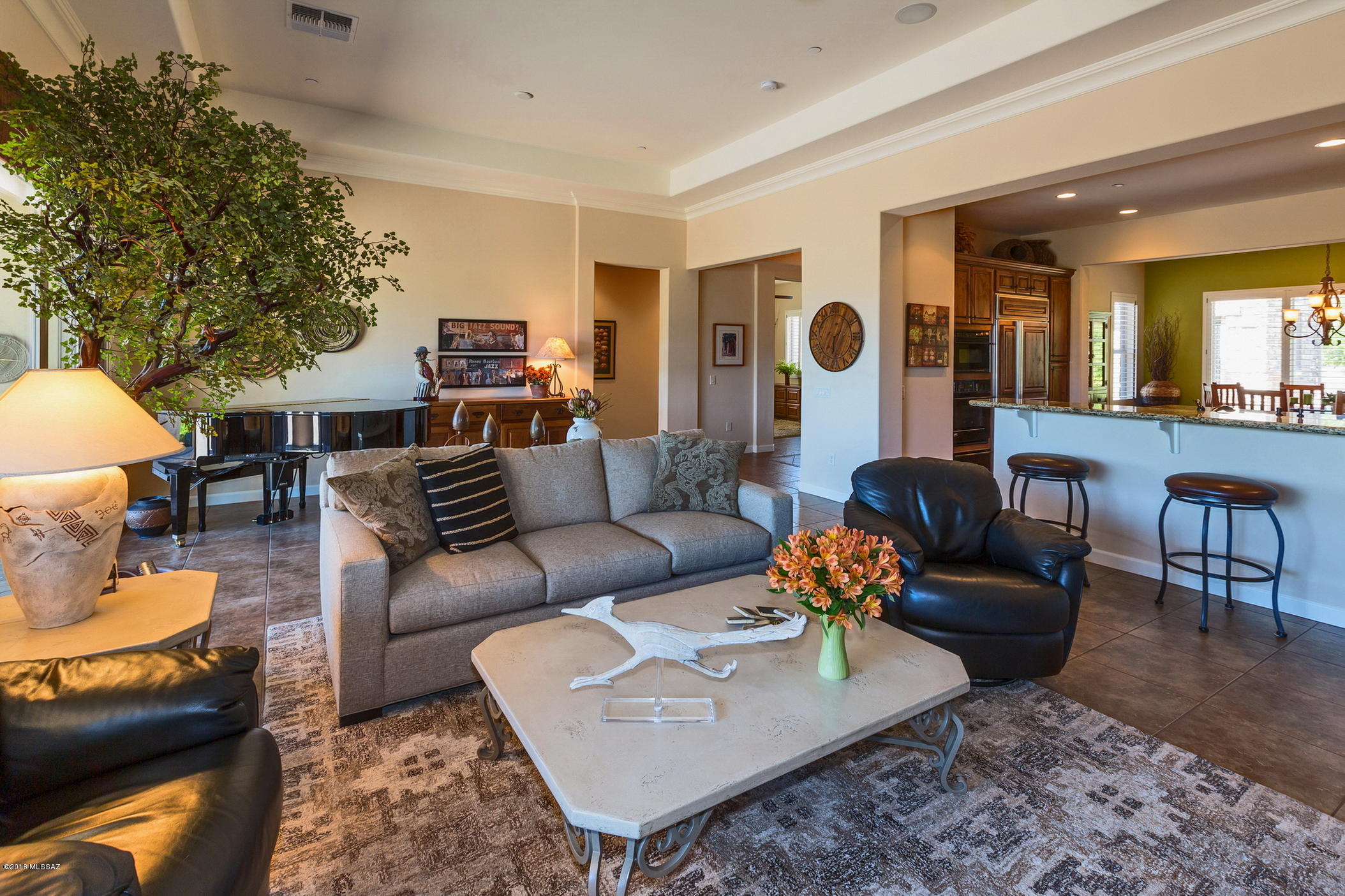 Saddlebrooke Ranch - Residential