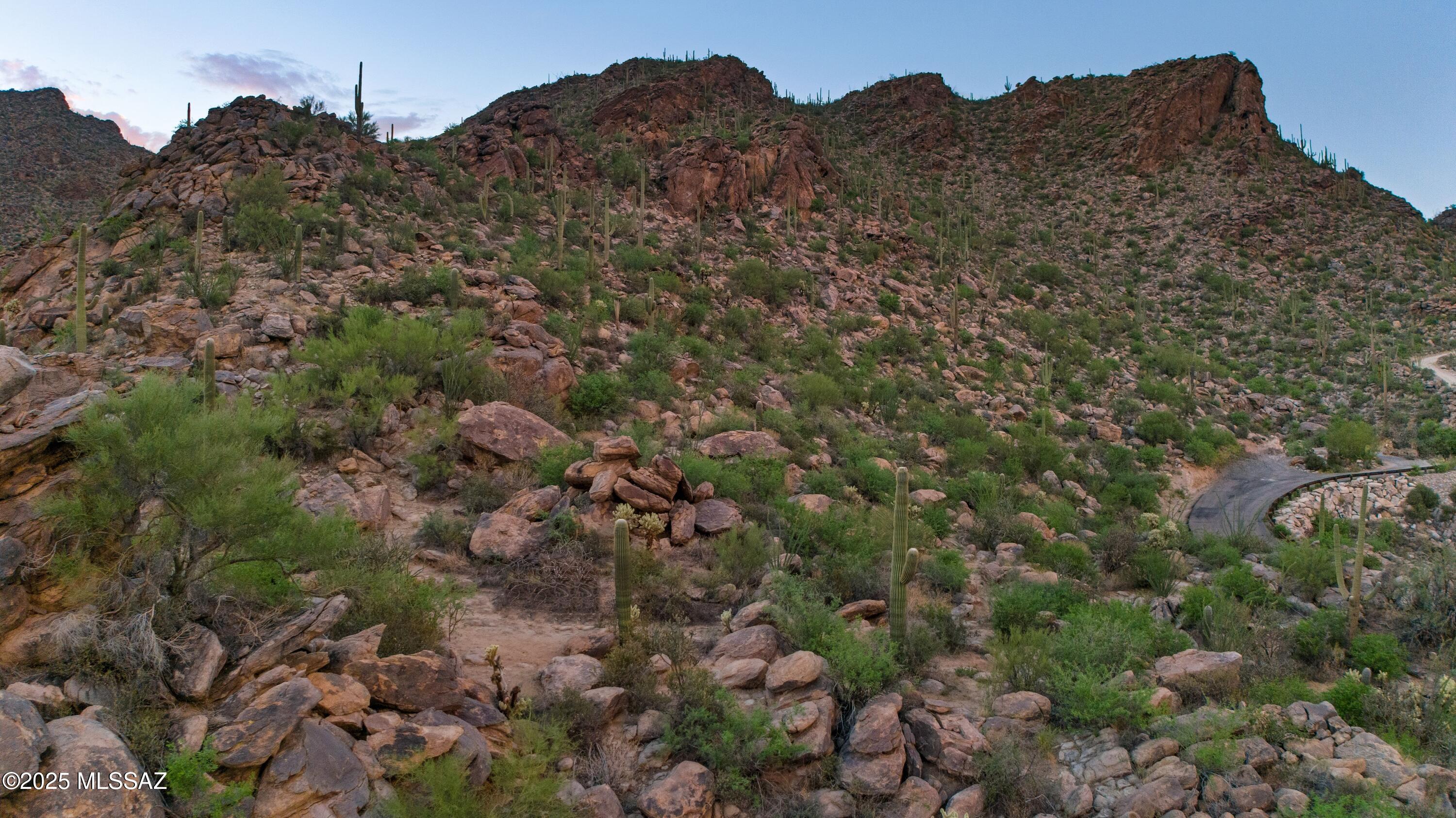 Saguaro Ranch (9-52) Blks. 1-4 - Land