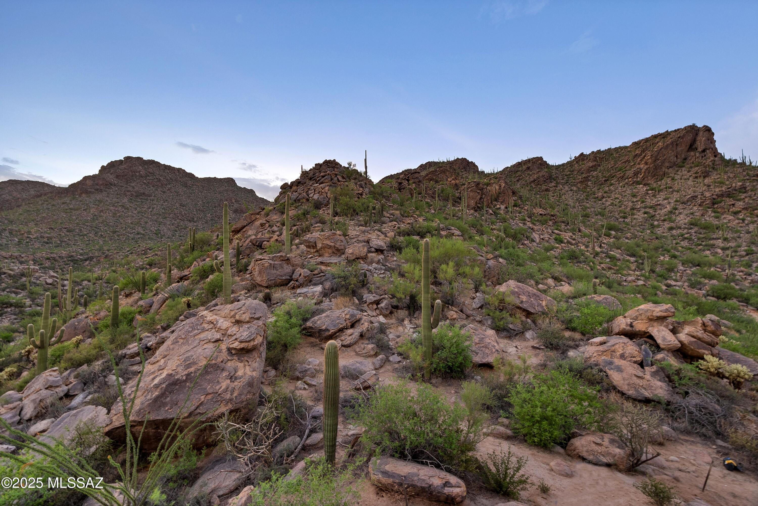 Saguaro Ranch (9-52) Blks. 1-4 - Land