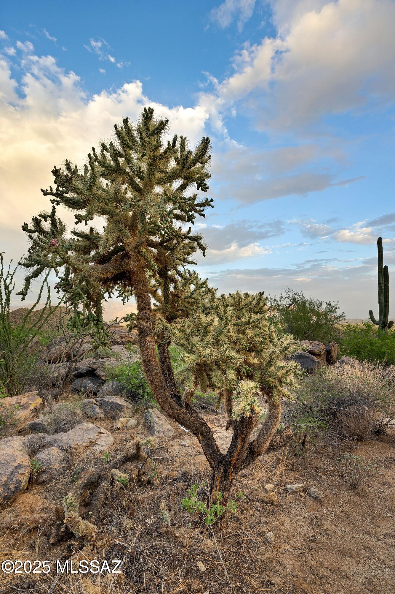 Saguaro Ranch (9-52) Blks. 1-4 - Land
