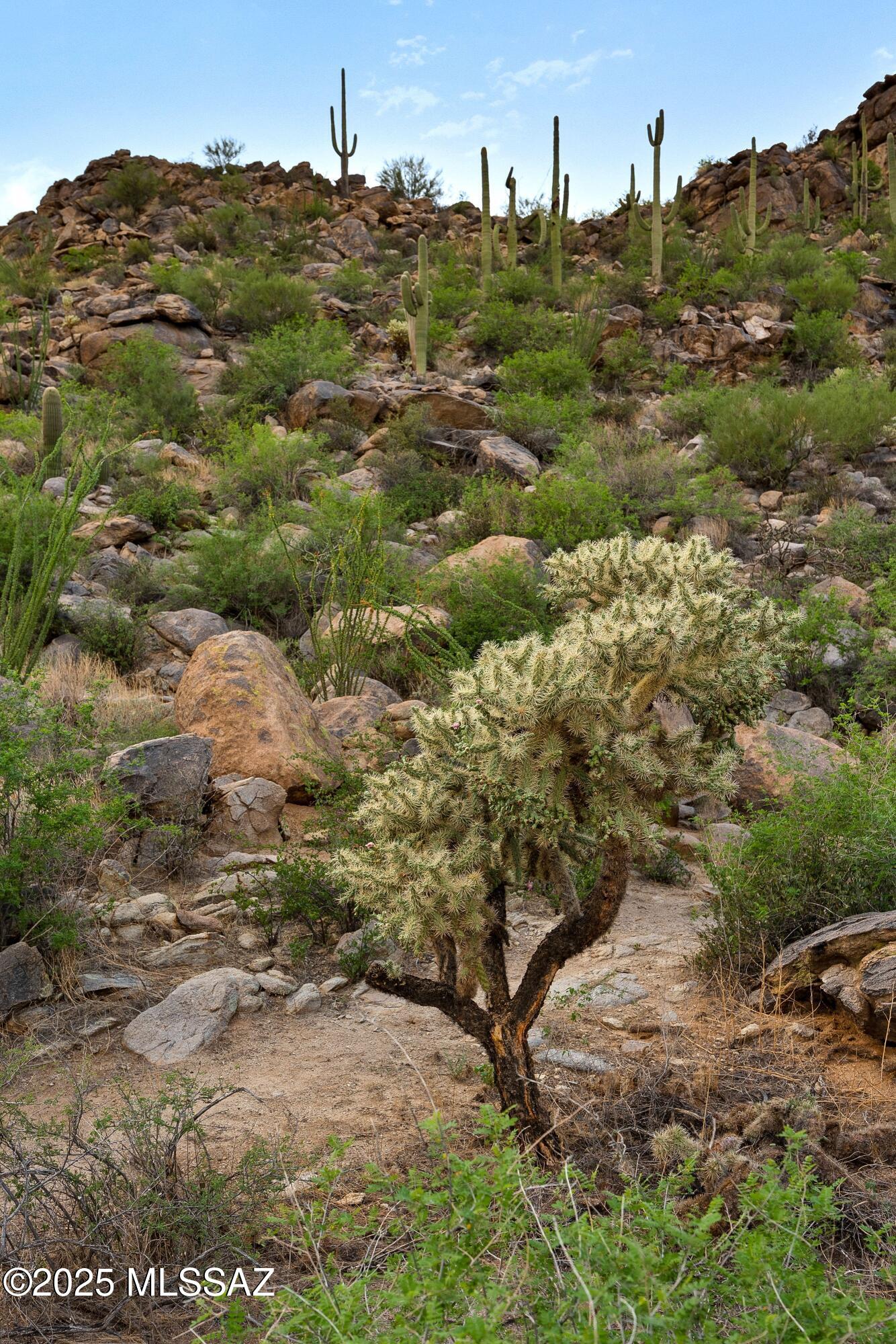 Saguaro Ranch (9-52) Blks. 1-4 - Land