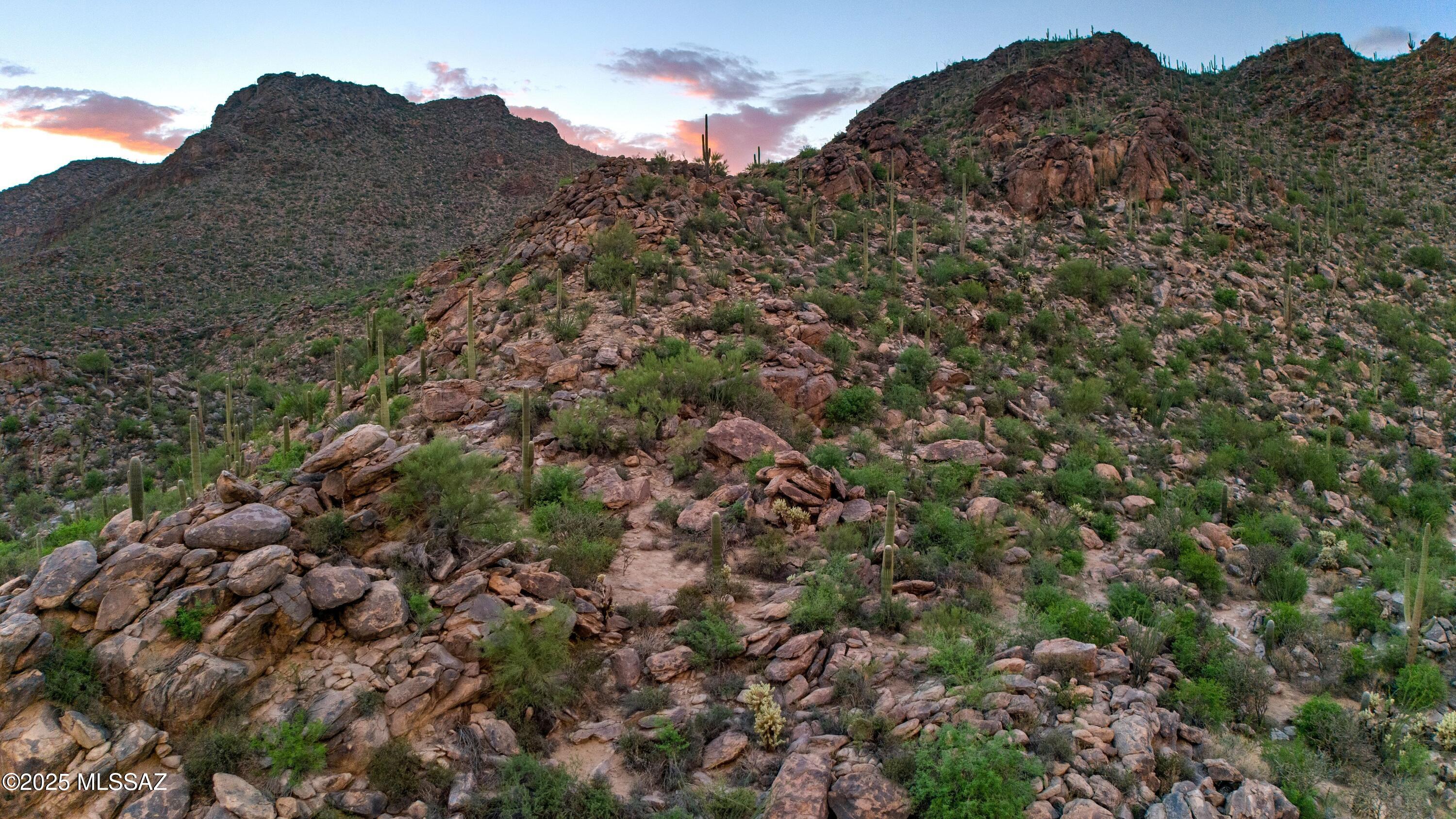 Saguaro Ranch (9-52) Blks. 1-4 - Land