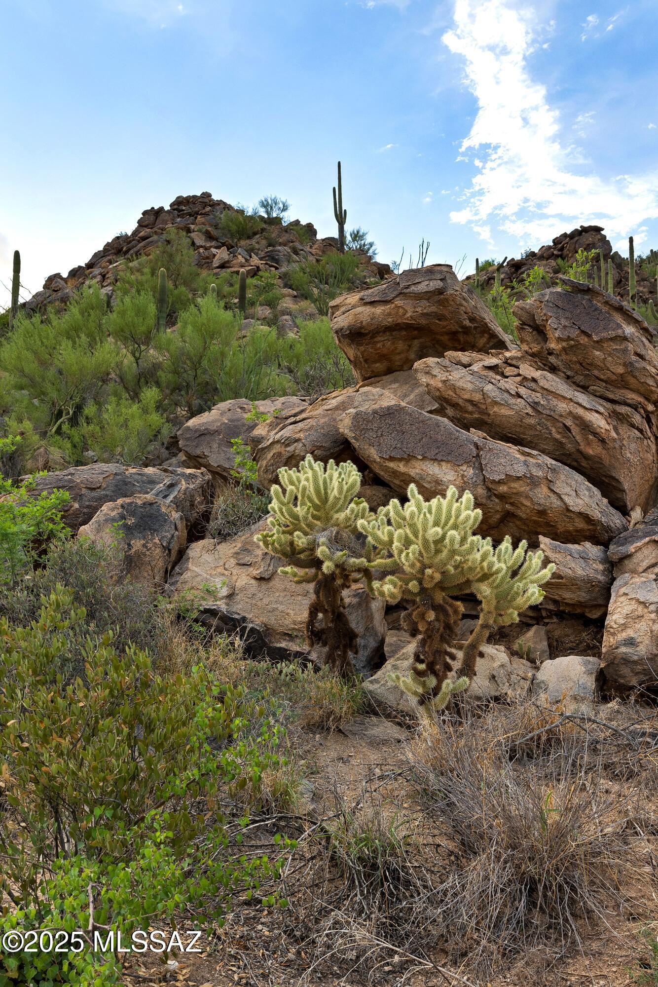 Saguaro Ranch (9-52) Blks. 1-4 - Land