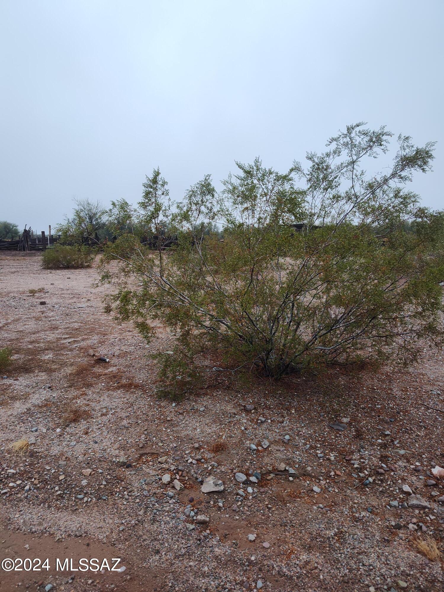 Diamond Bell Ranch - Tucson Unit 10 (1-208) - Land
