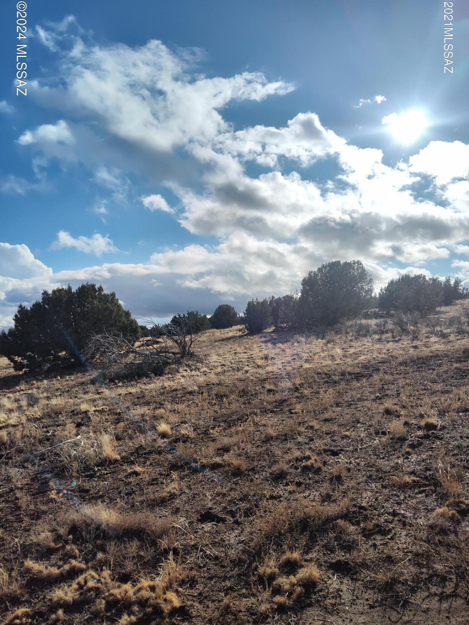 Diamond Bell Ranch - Tucson Unit 10 (1-208) - Land