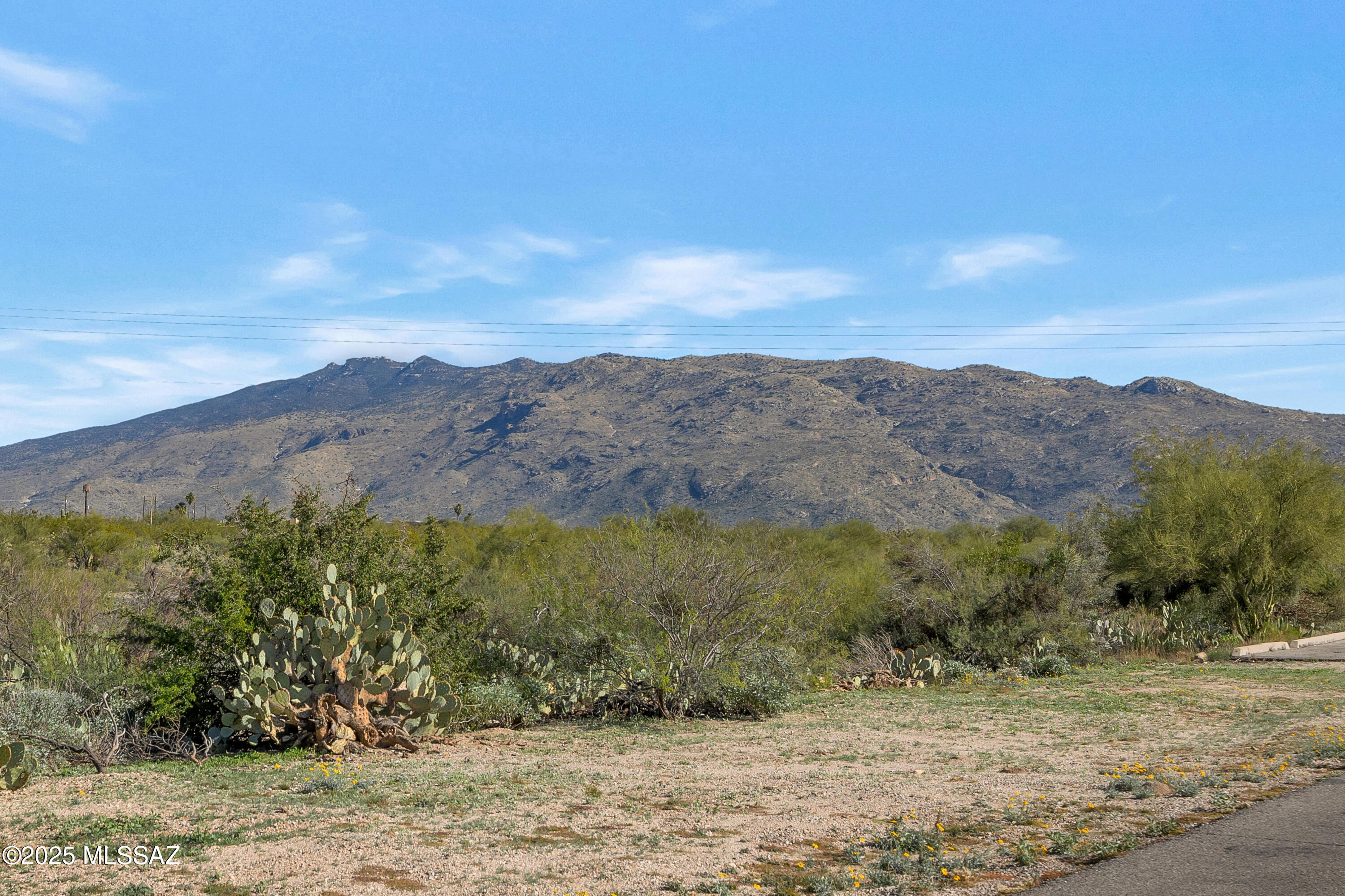 4050 S Melpomene Way