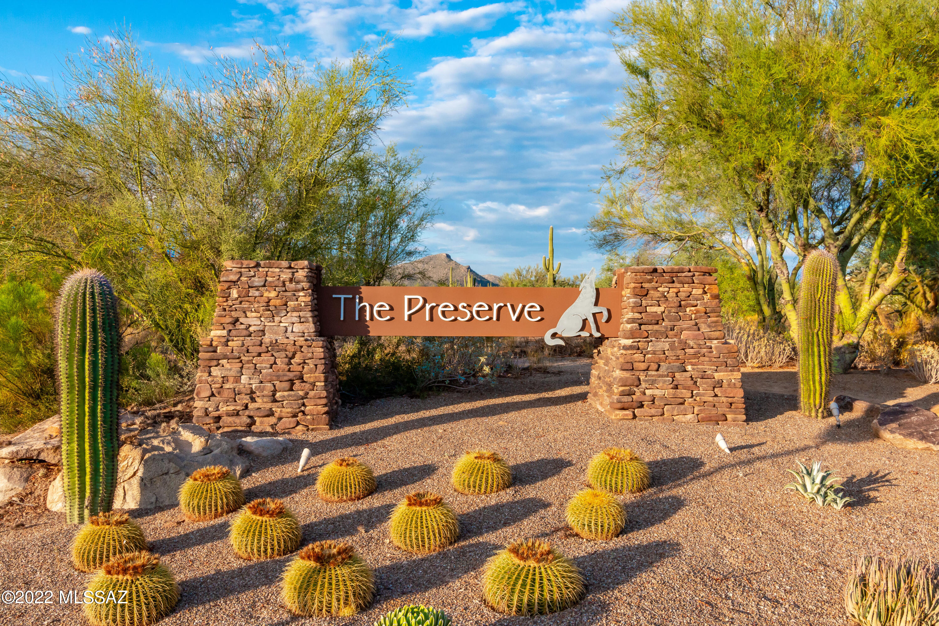 Preserve II at Dove Mtn (183-305) - Residential