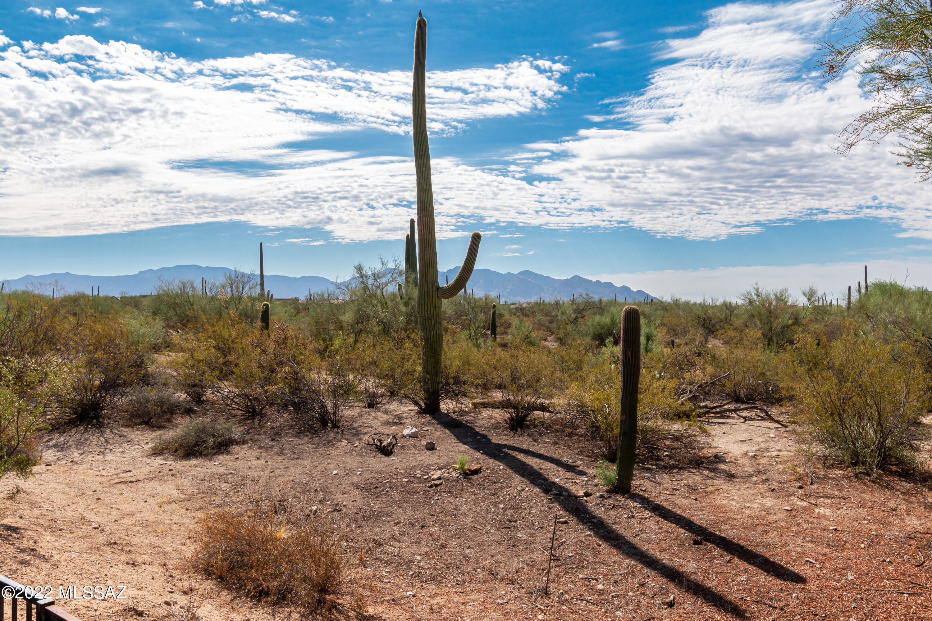 Preserve II at Dove Mtn (183-305) - Residential