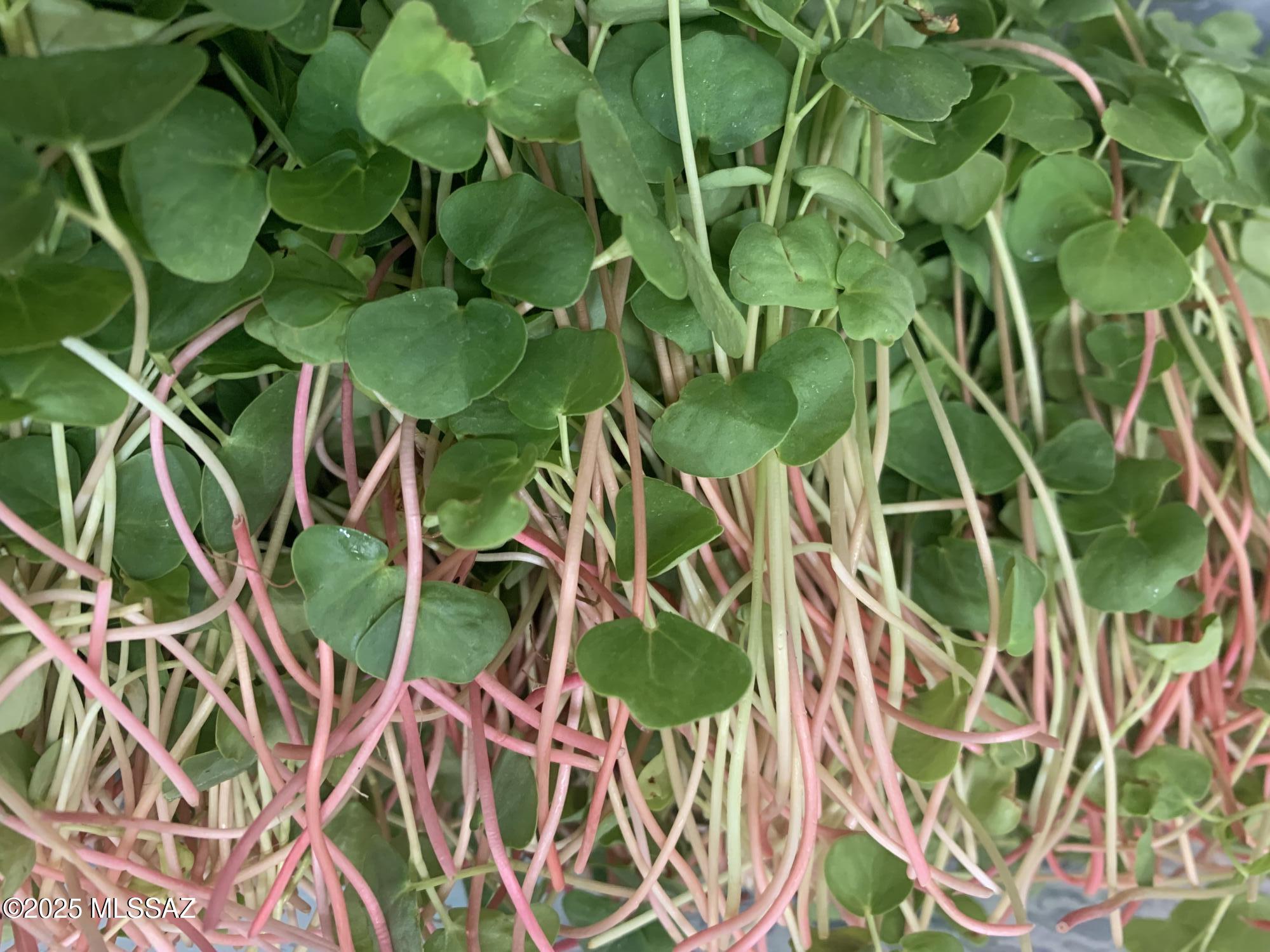 11640 S Lava Peak Road