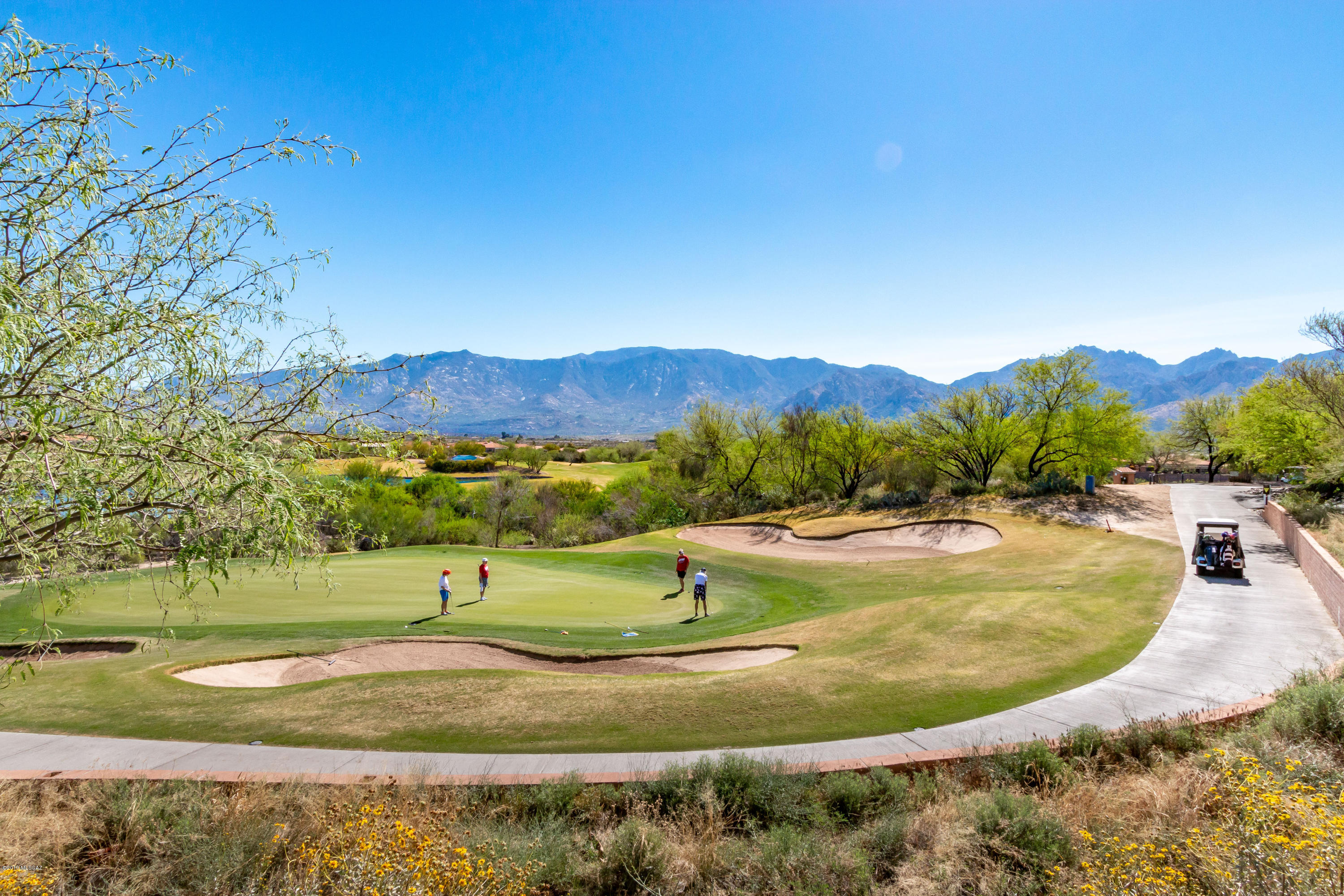 Sun City Vistoso Unit 15(1-126) - Residential