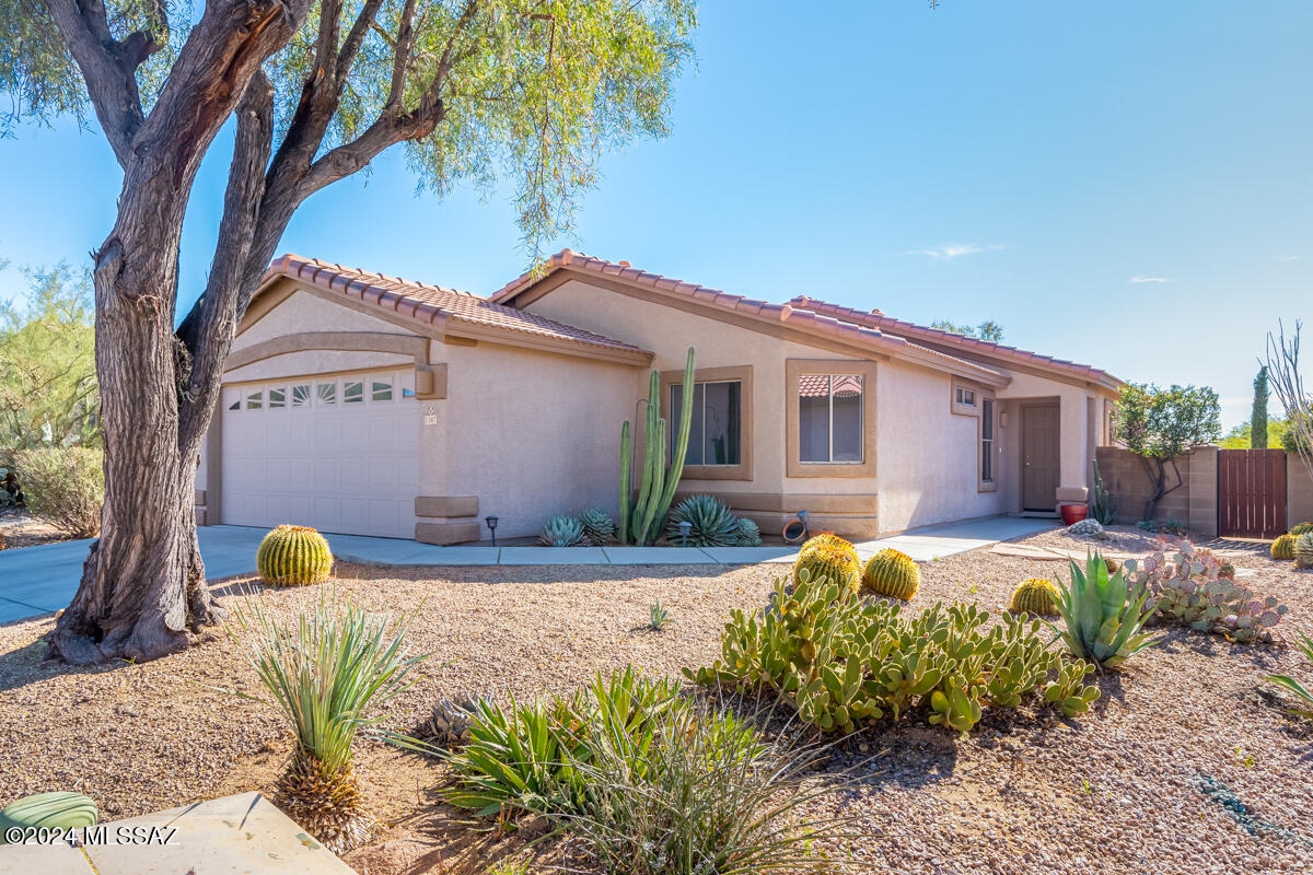 The Villages At Dove Mountain (114-234) - Residential
