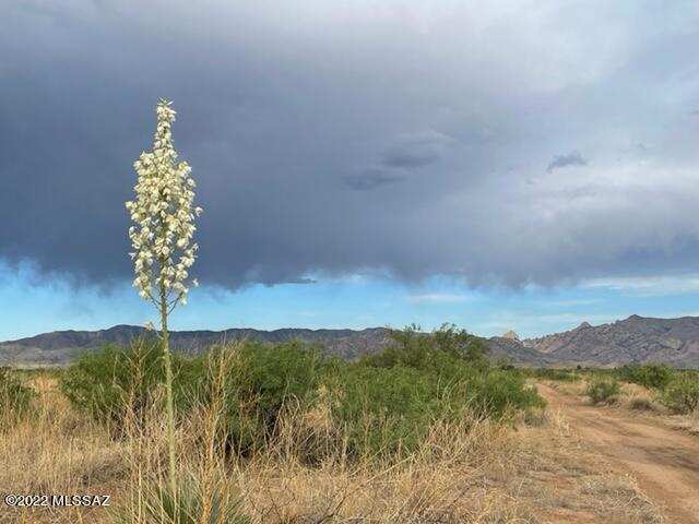 Arizona Sun Sites - Land