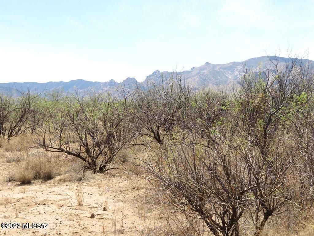 Arizona Sun Sites - Land