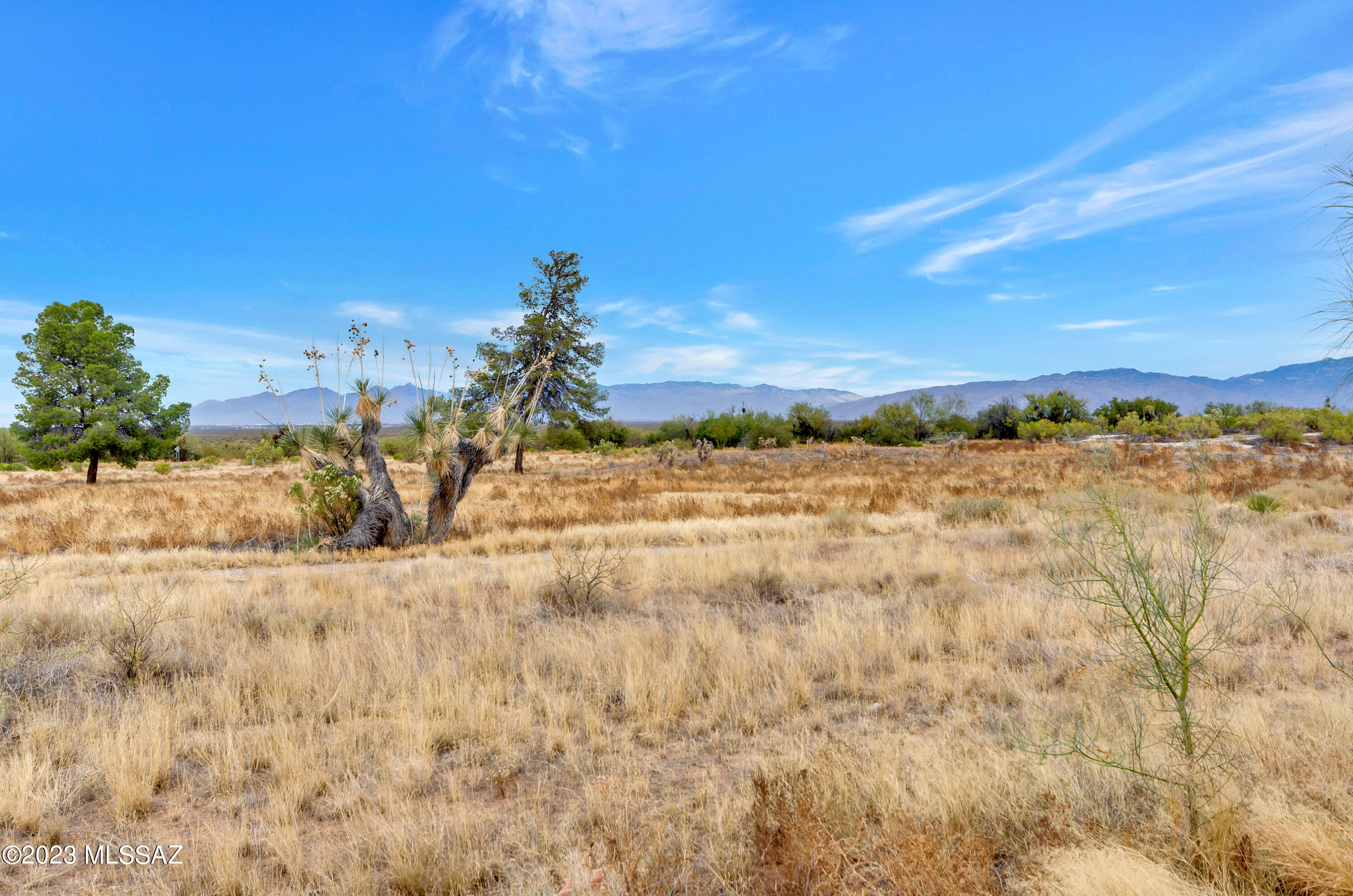 New Tucson Unit NO. 4 (1-203) - Residential