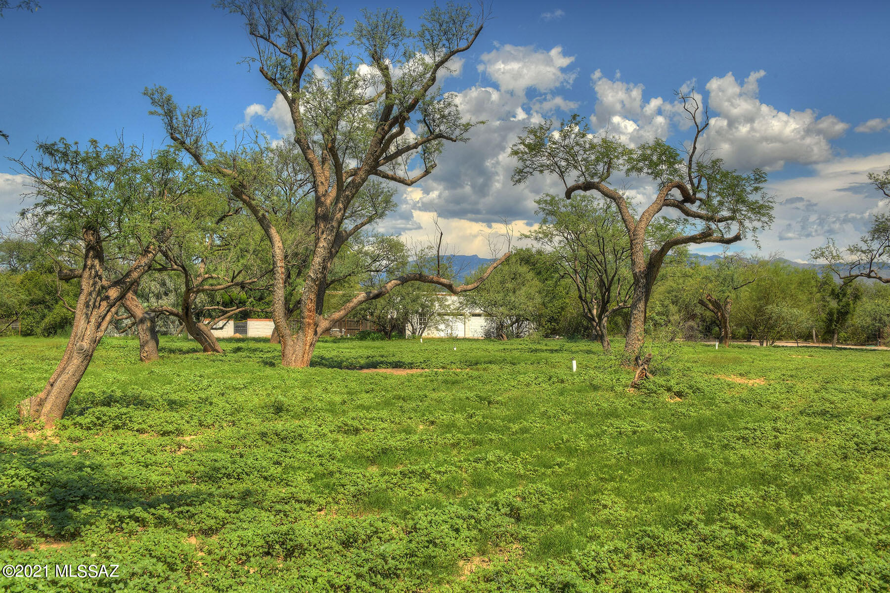 Tanque Verde Country Estates - Residential