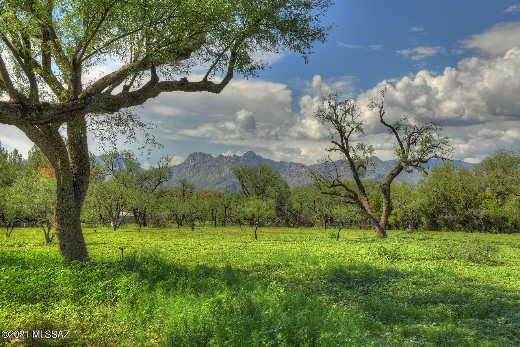 Tanque Verde Country Estates - Residential