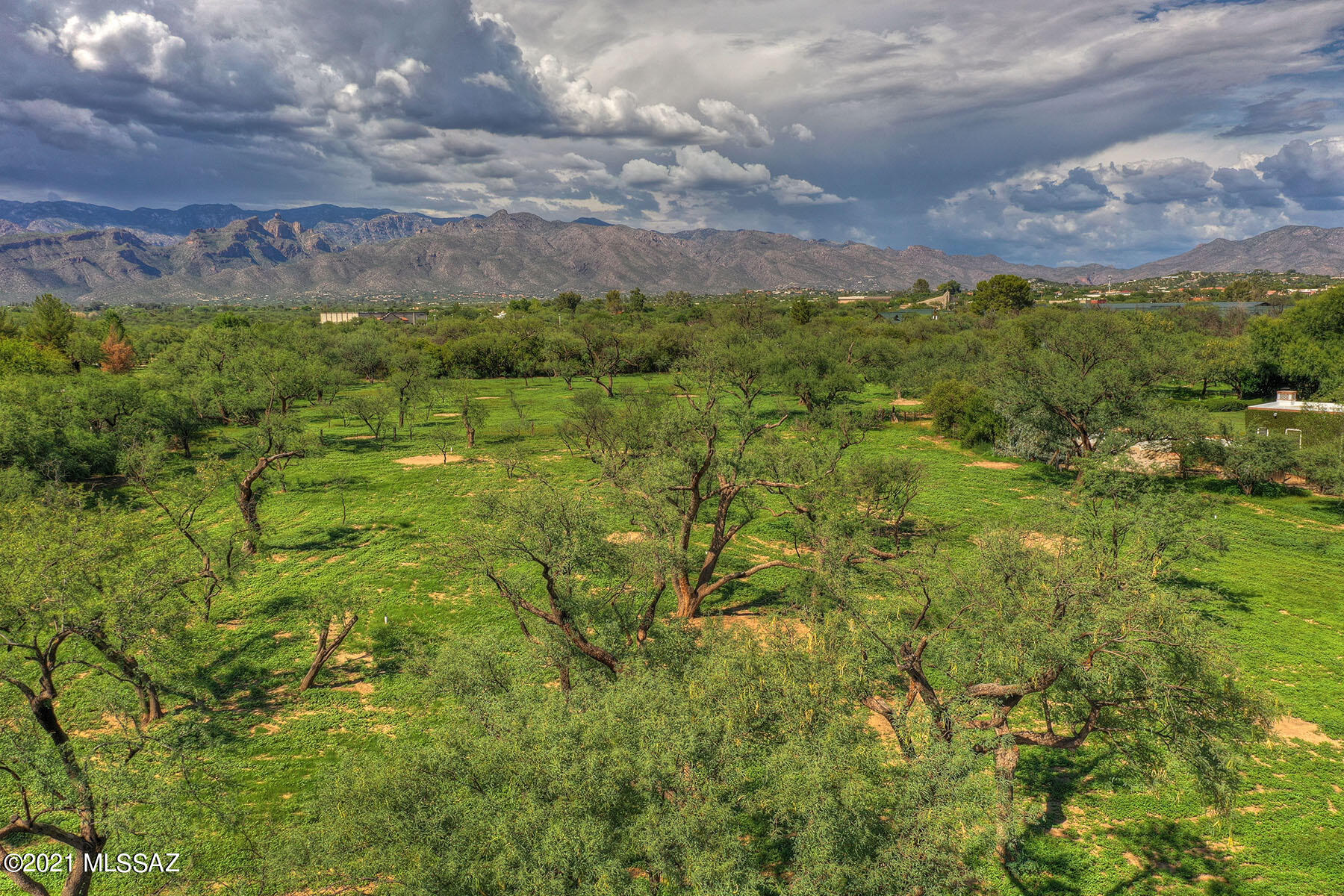 Tanque Verde Country Estates - Residential