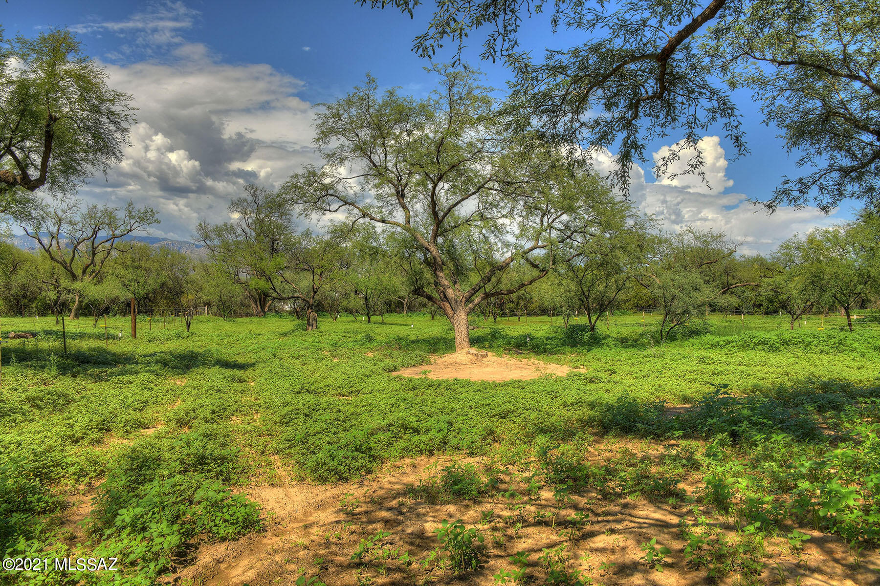 Tanque Verde Country Estates - Residential