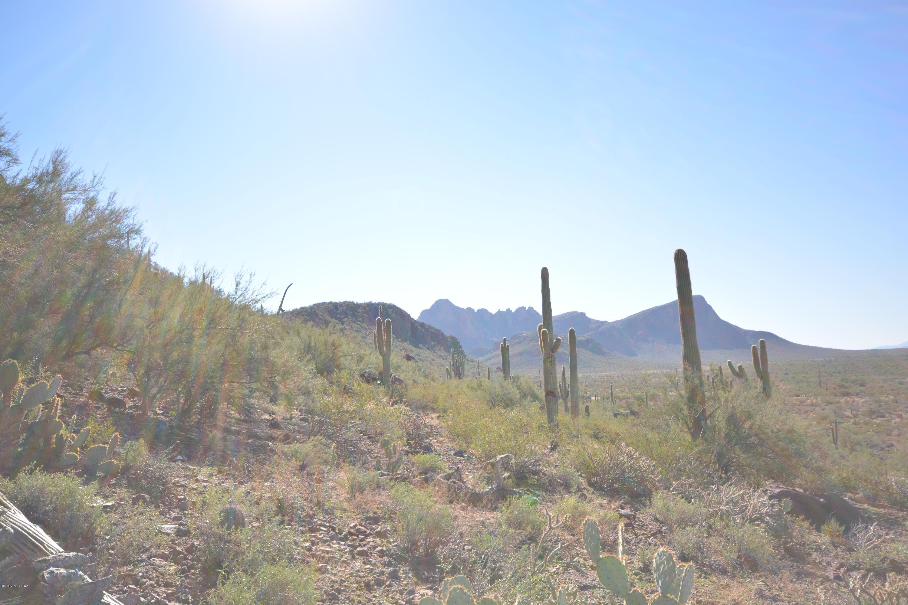 Saguaro Springs Block 8B (131-399) - Residential