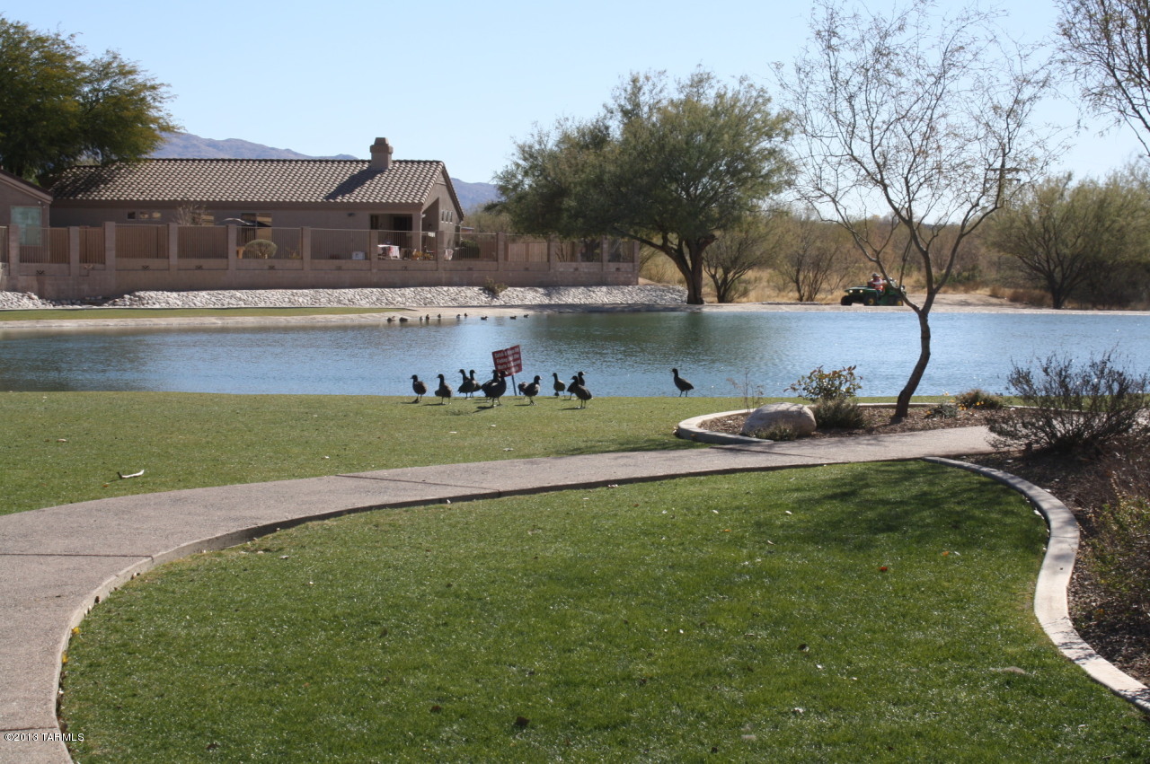 Castle Rock (1-430) - Residential Lease